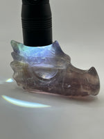 Dragon Head(s) - Fluorite