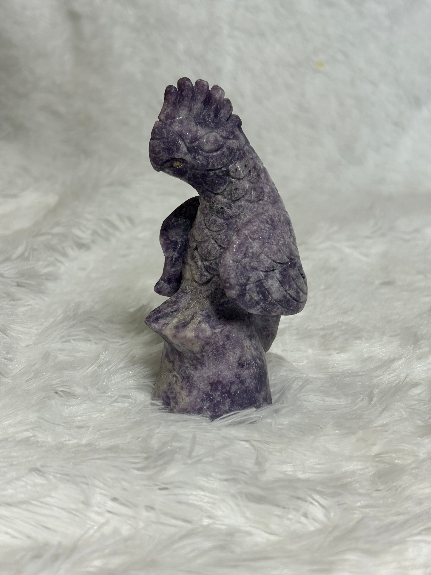 Parrot(s) - Lepidolite
