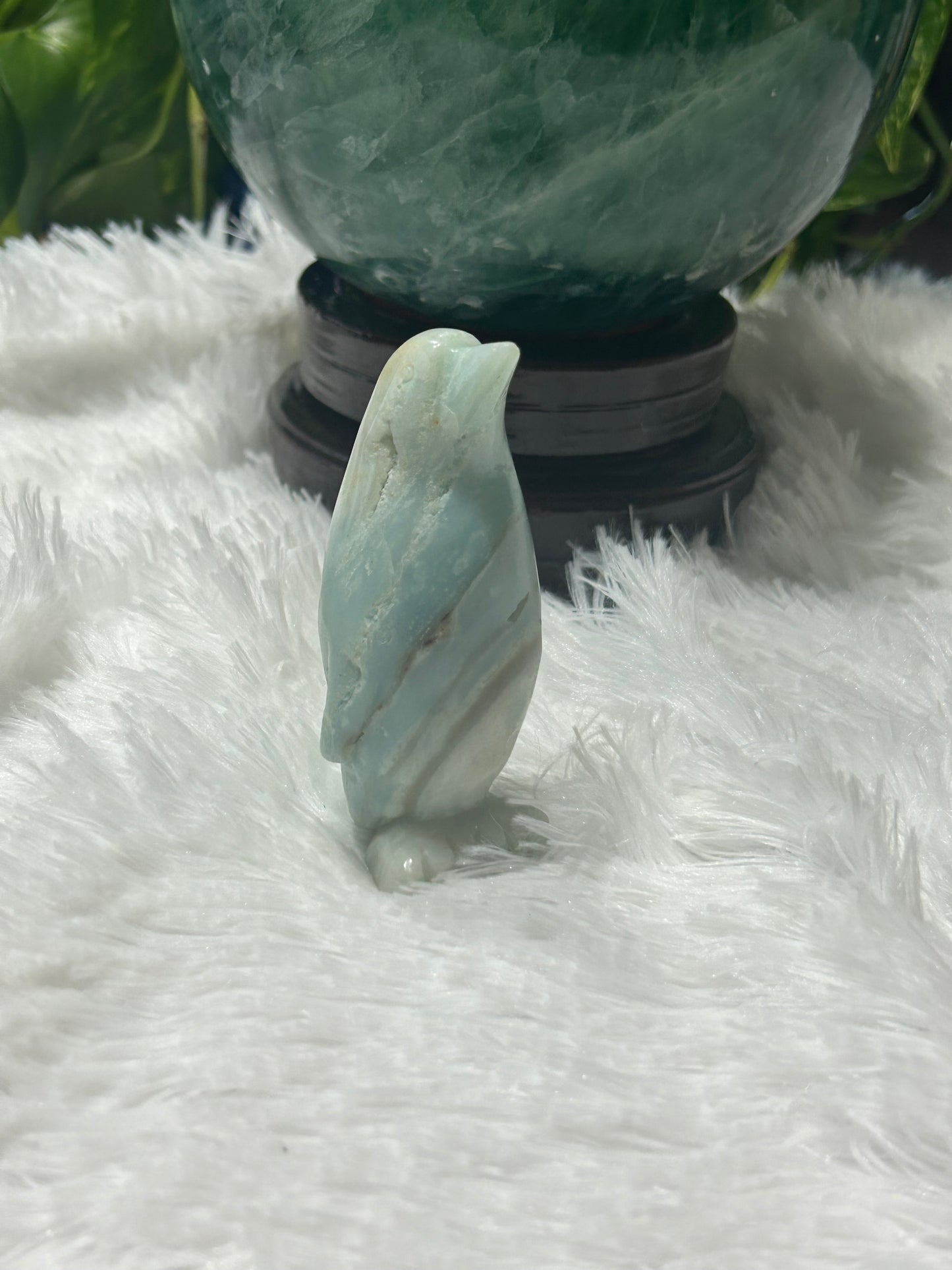 Penguin(s) - Caribbean Calcite