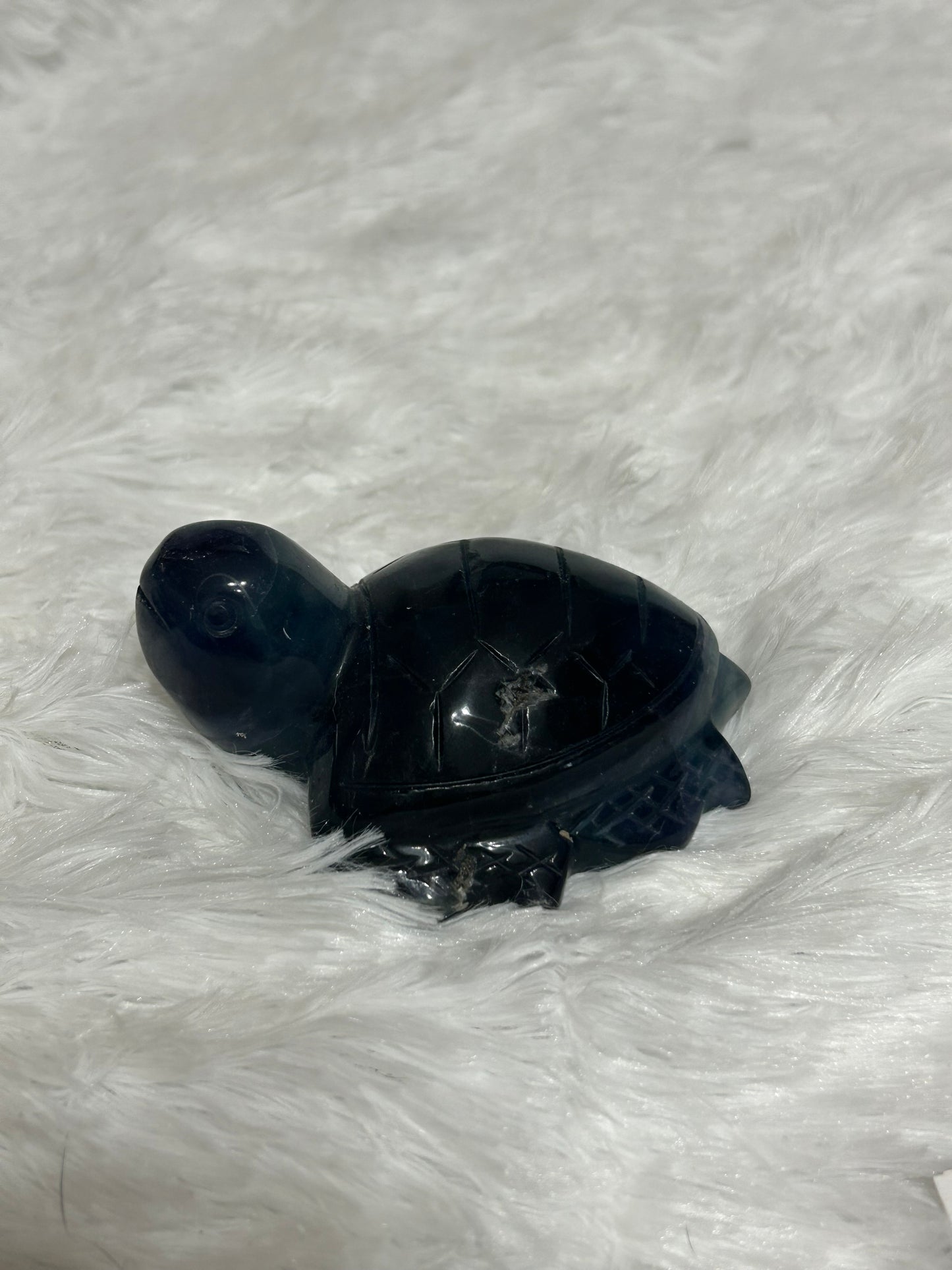 Turtle(s) - Fluorite