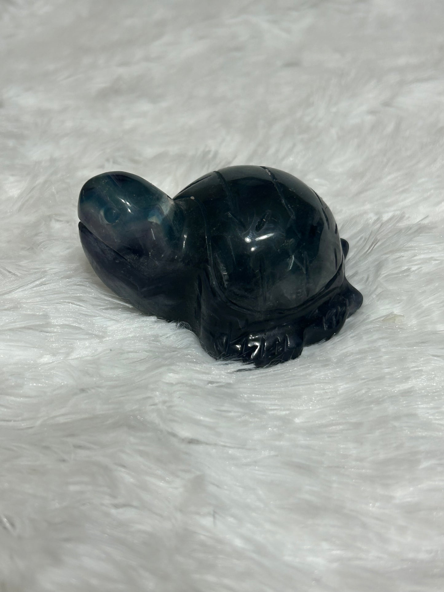 Turtle(s) - Fluorite