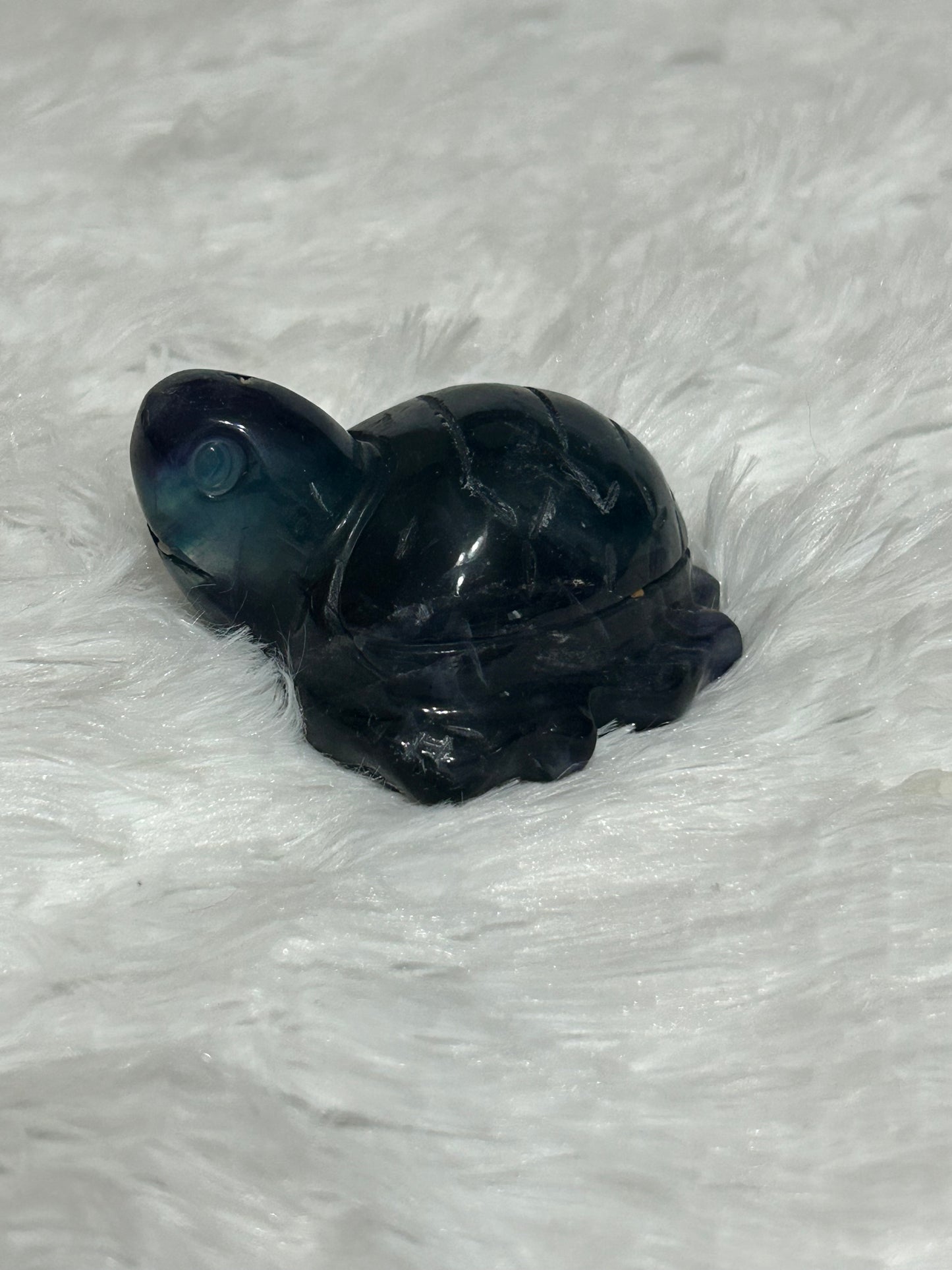 Turtle(s) - Fluorite