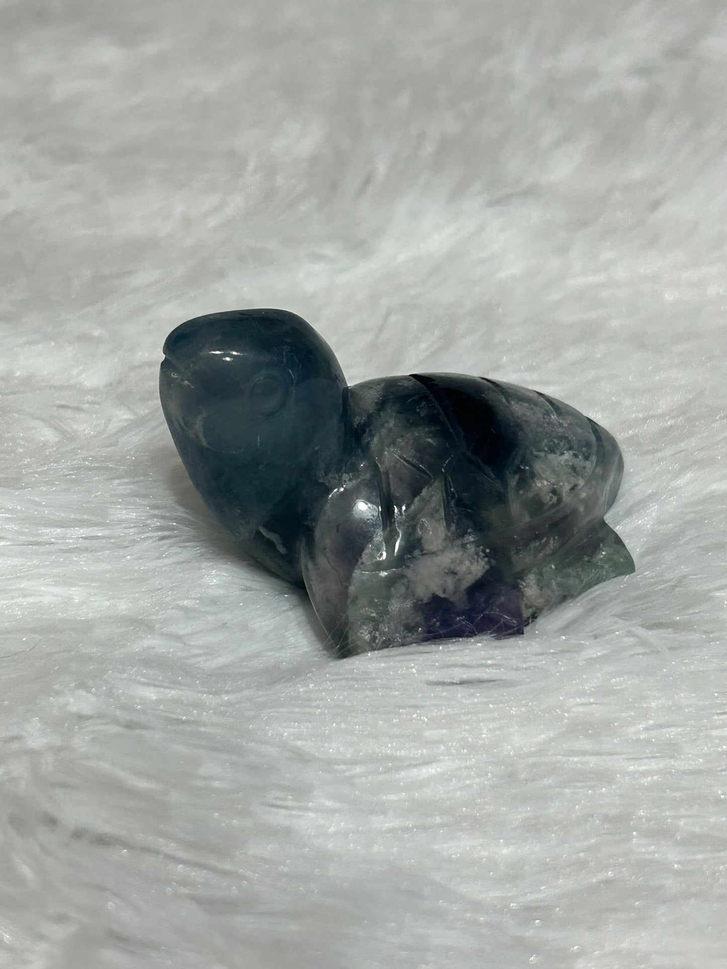 Turtle(s) - Fluorite