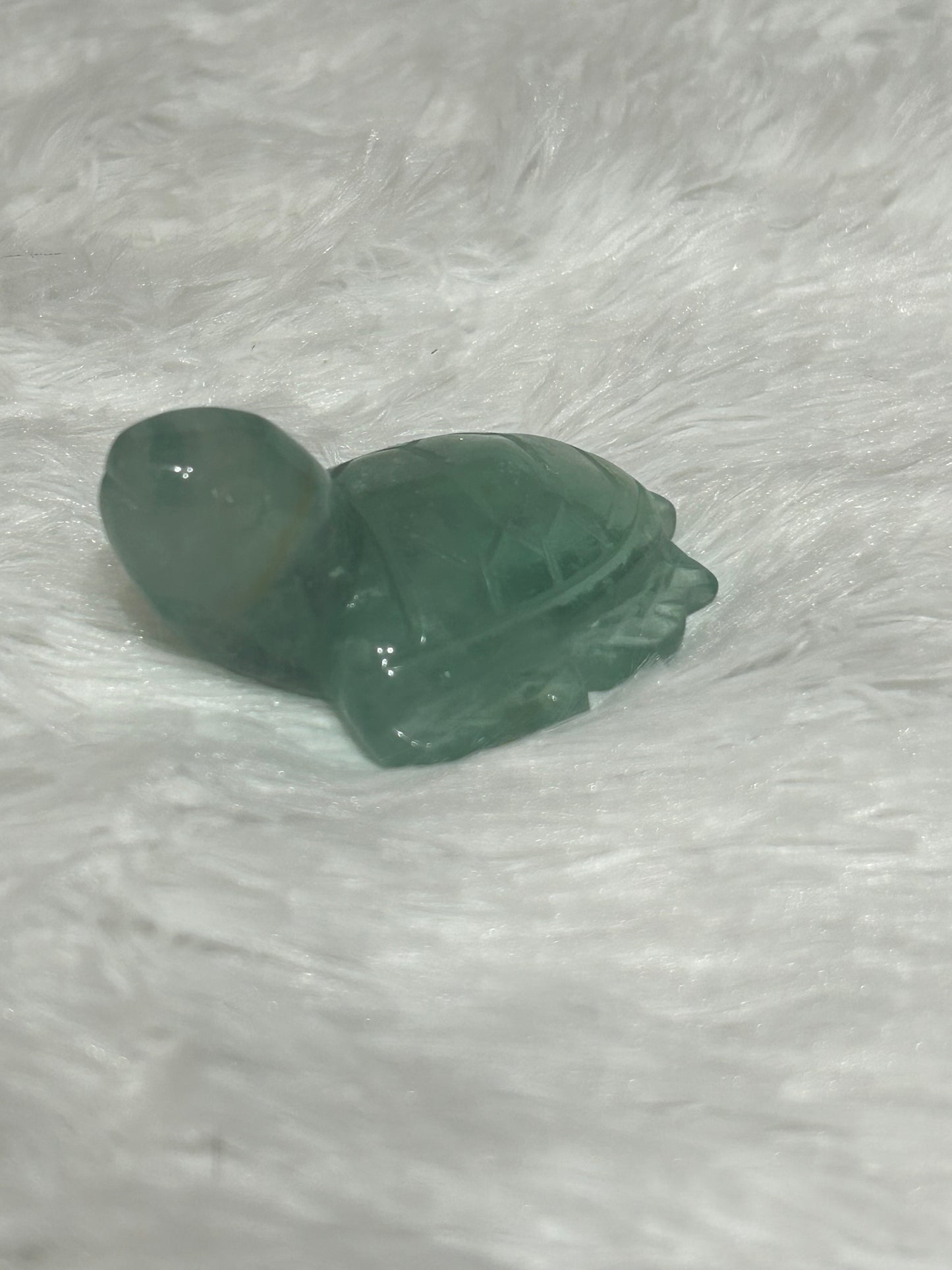 Turtle(s) - Fluorite