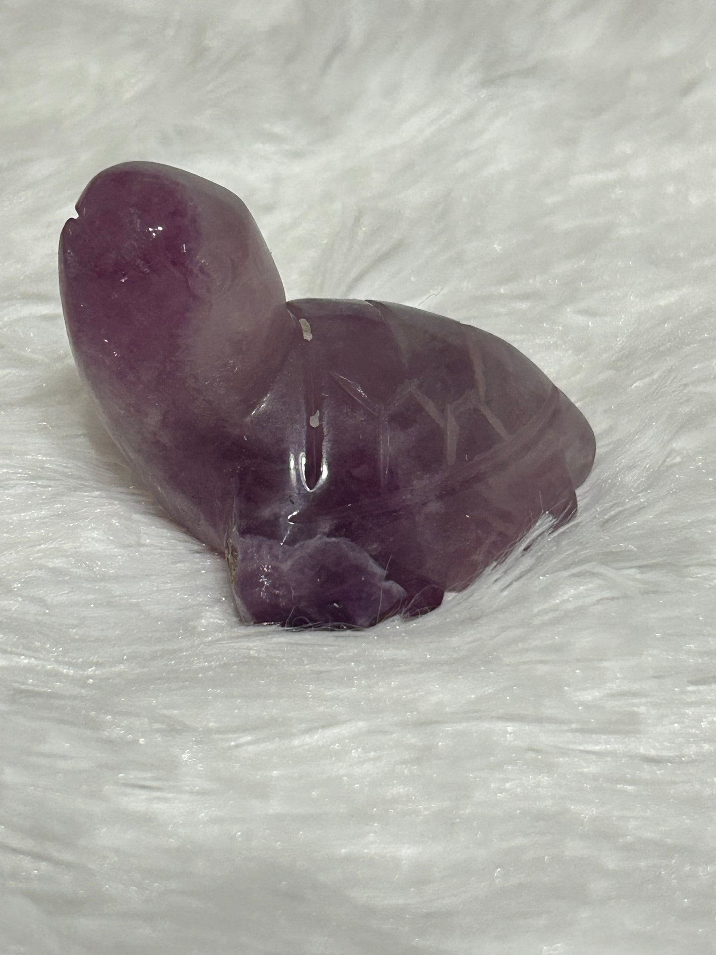 Turtle(s) - Fluorite