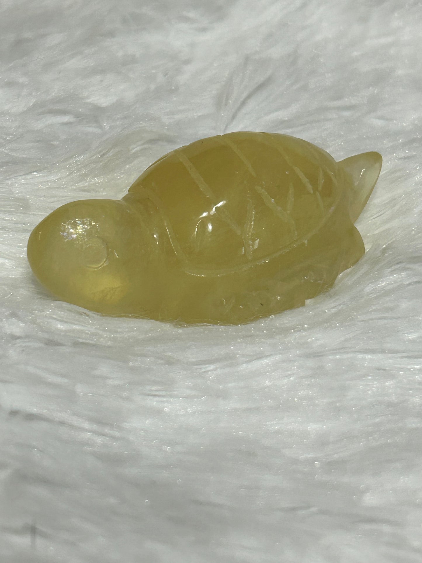 Turtle(s) - Fluorite