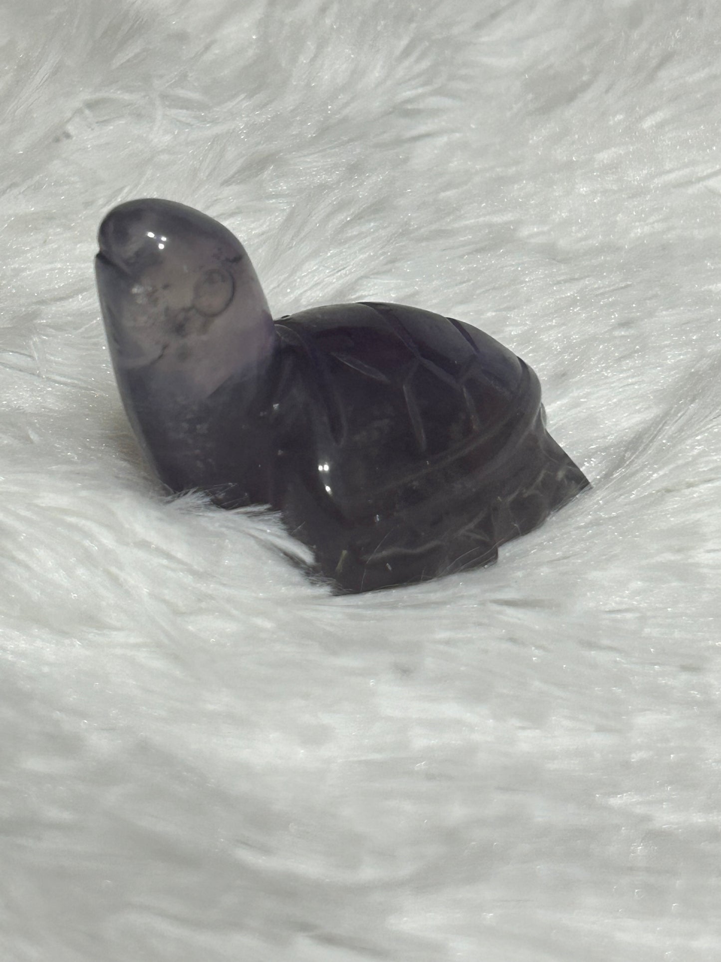Turtle(s) - Fluorite