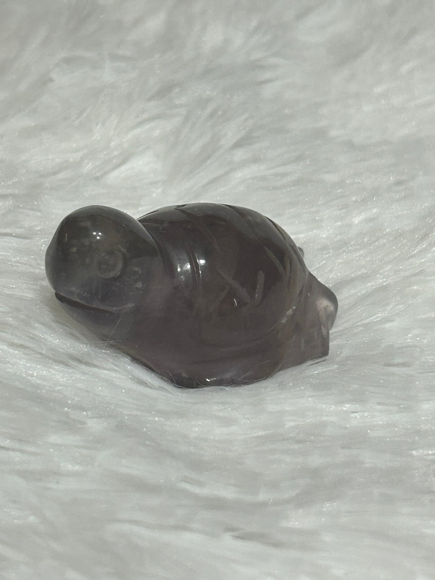 Turtle(s) - Fluorite