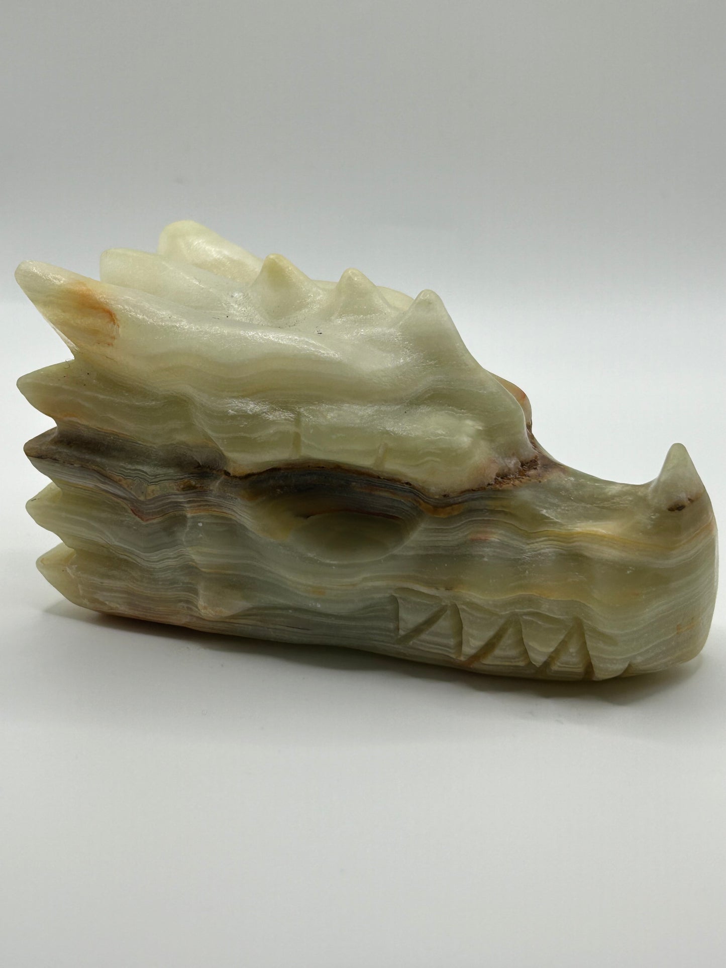 Dragon Head(s) - Jade, African