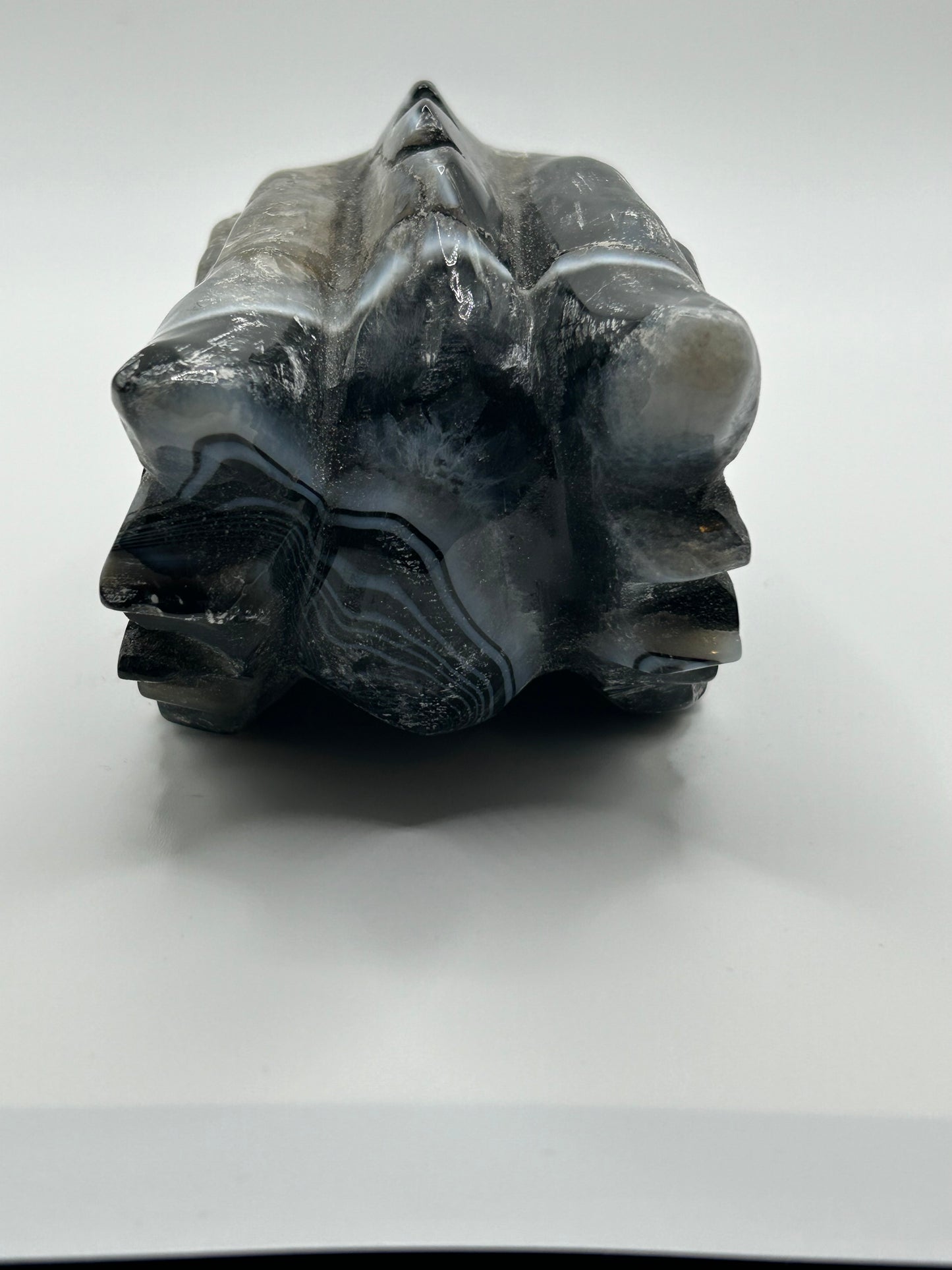 Dragon Head(s) - Black Agate