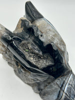 Dragon Head(s) - Black Agate