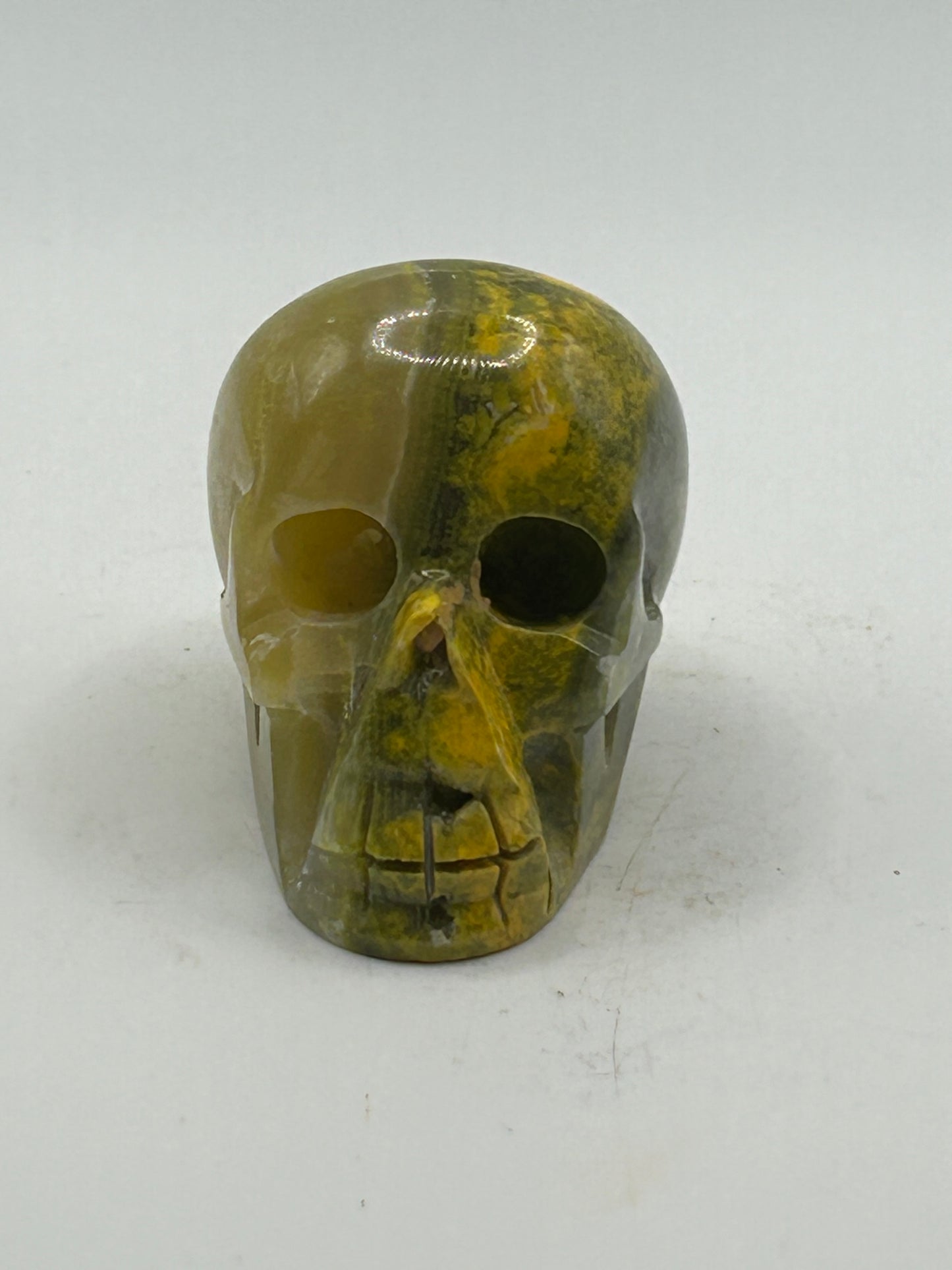 Skull(s) - Bumble Bee Jasper