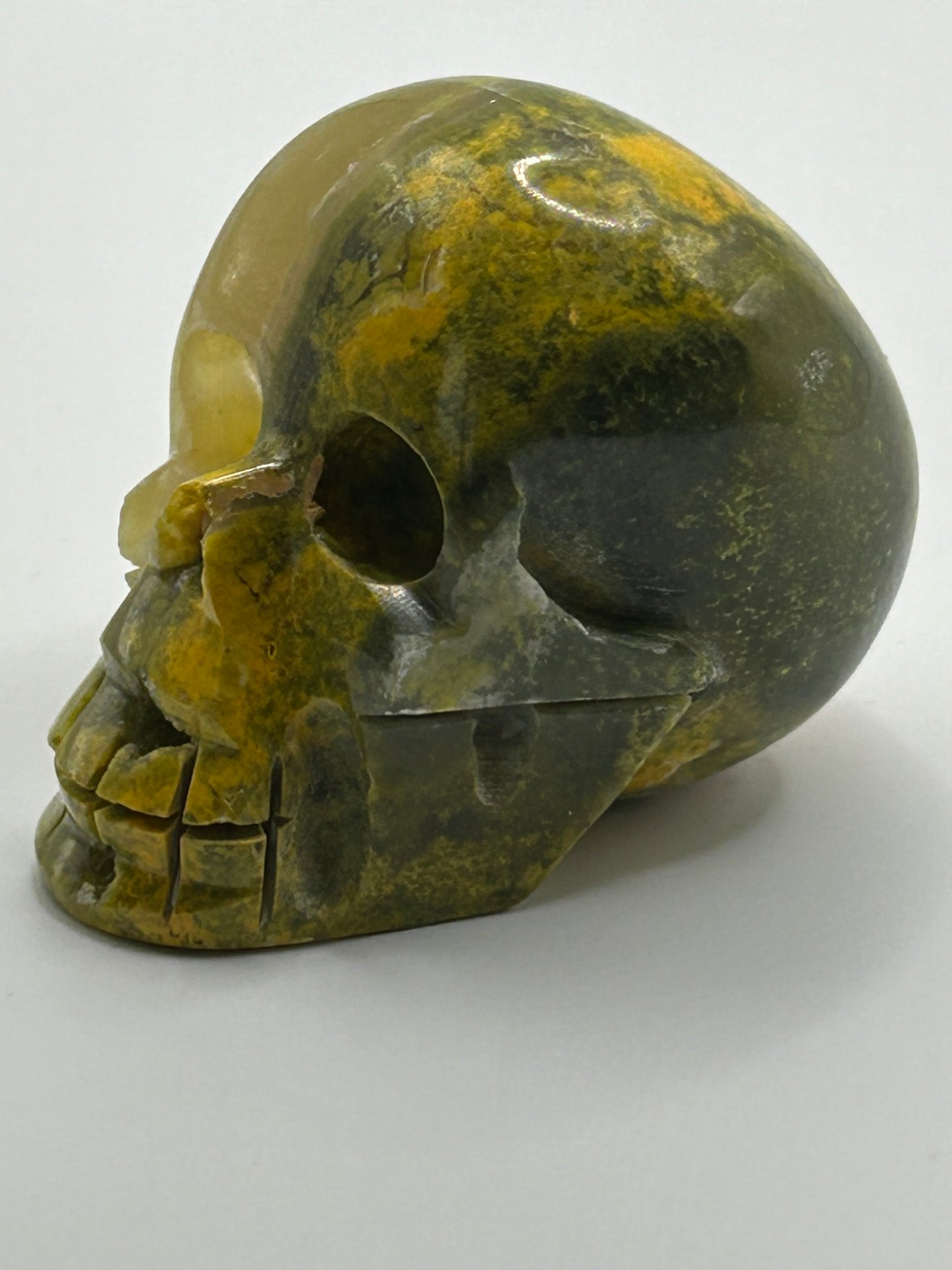 Skull(s) - Bumble Bee Jasper