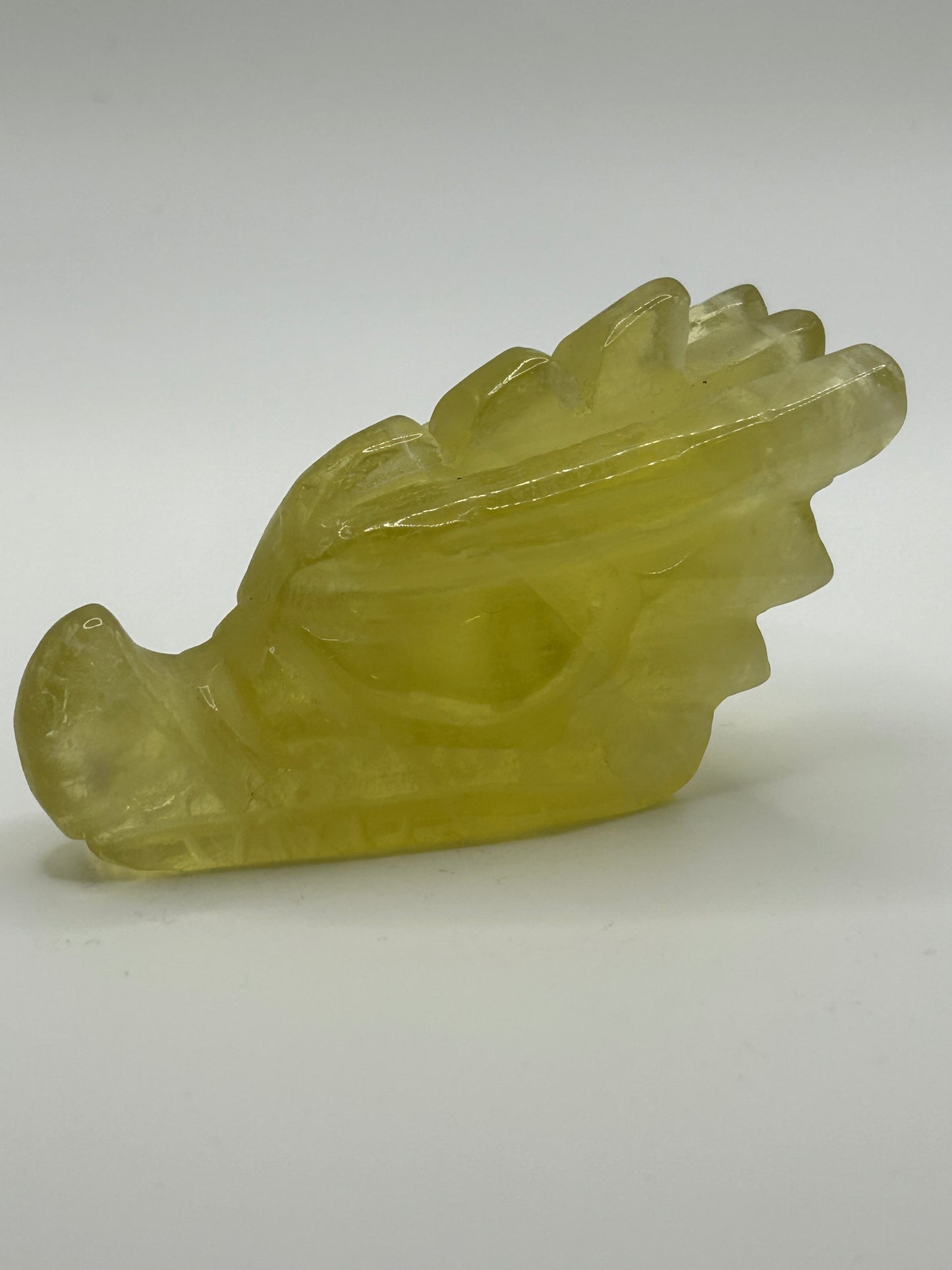 Dragon Head(s) - Citrine