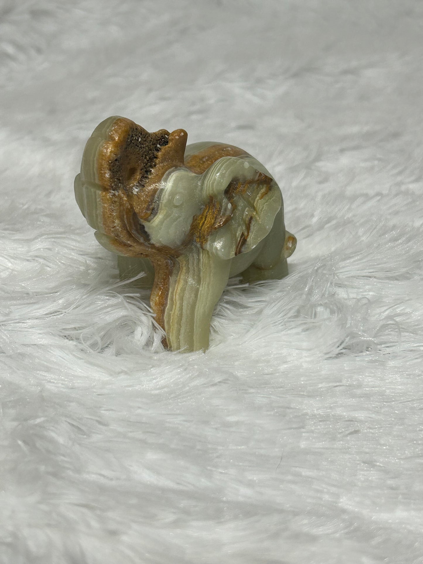 Elephant(s) - African Jade