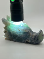 Dragon Head(s) - Fluorite
