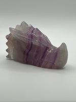 Dragon Head(s) - Fluorite