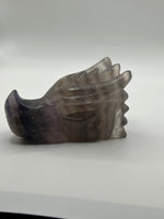 Dragon Head(s) - Fluorite