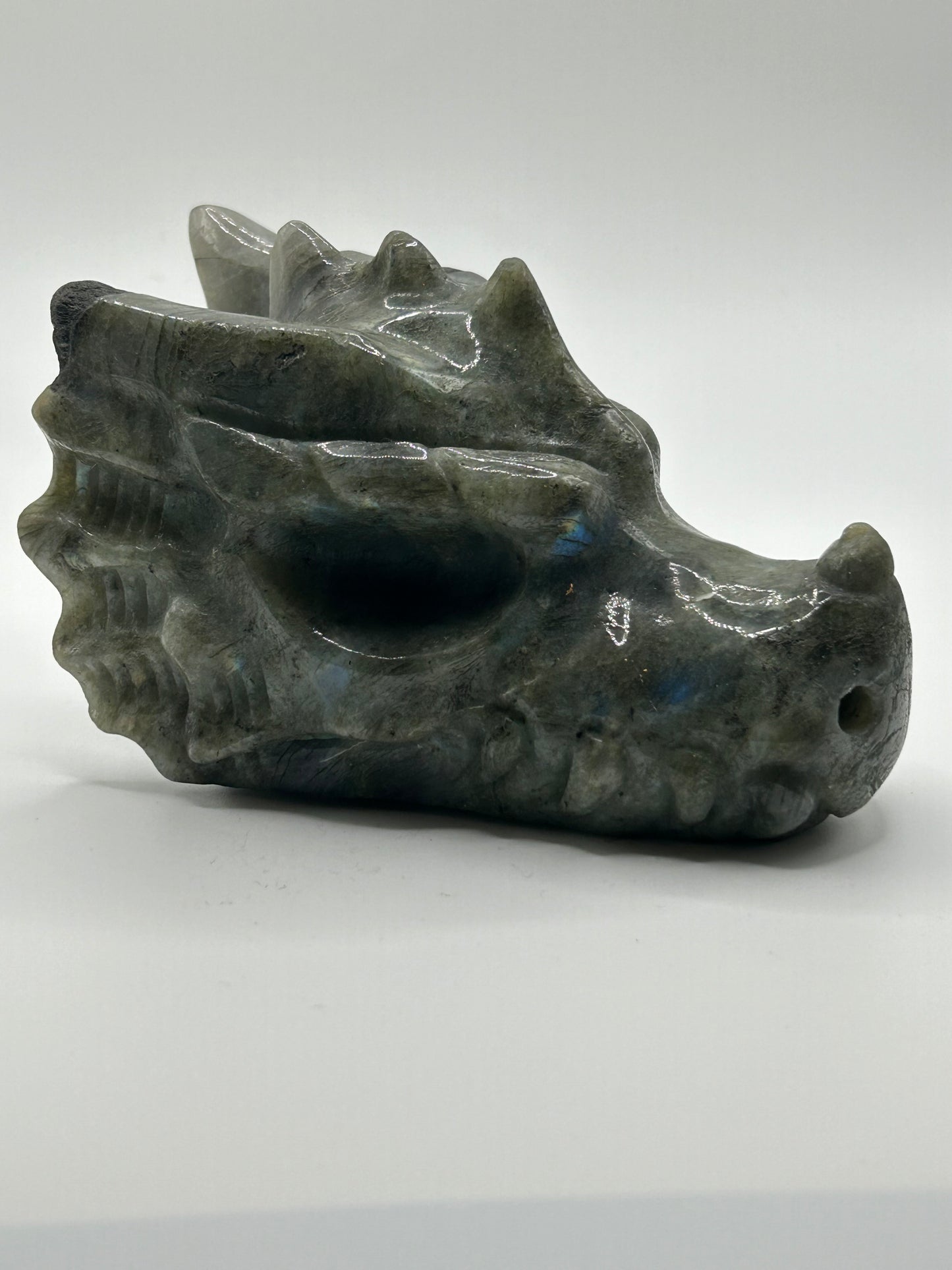 Dragon Head(s) - Labradorite