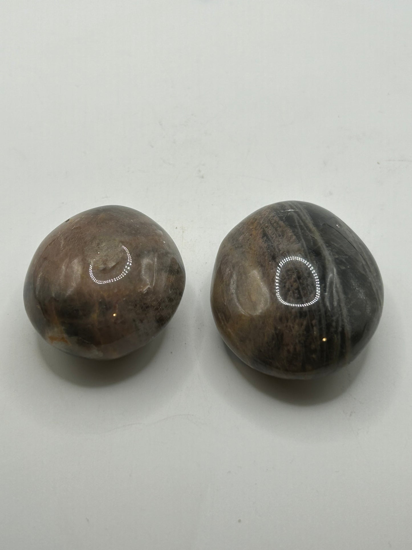 Palm Stone(s), Black Moonstone