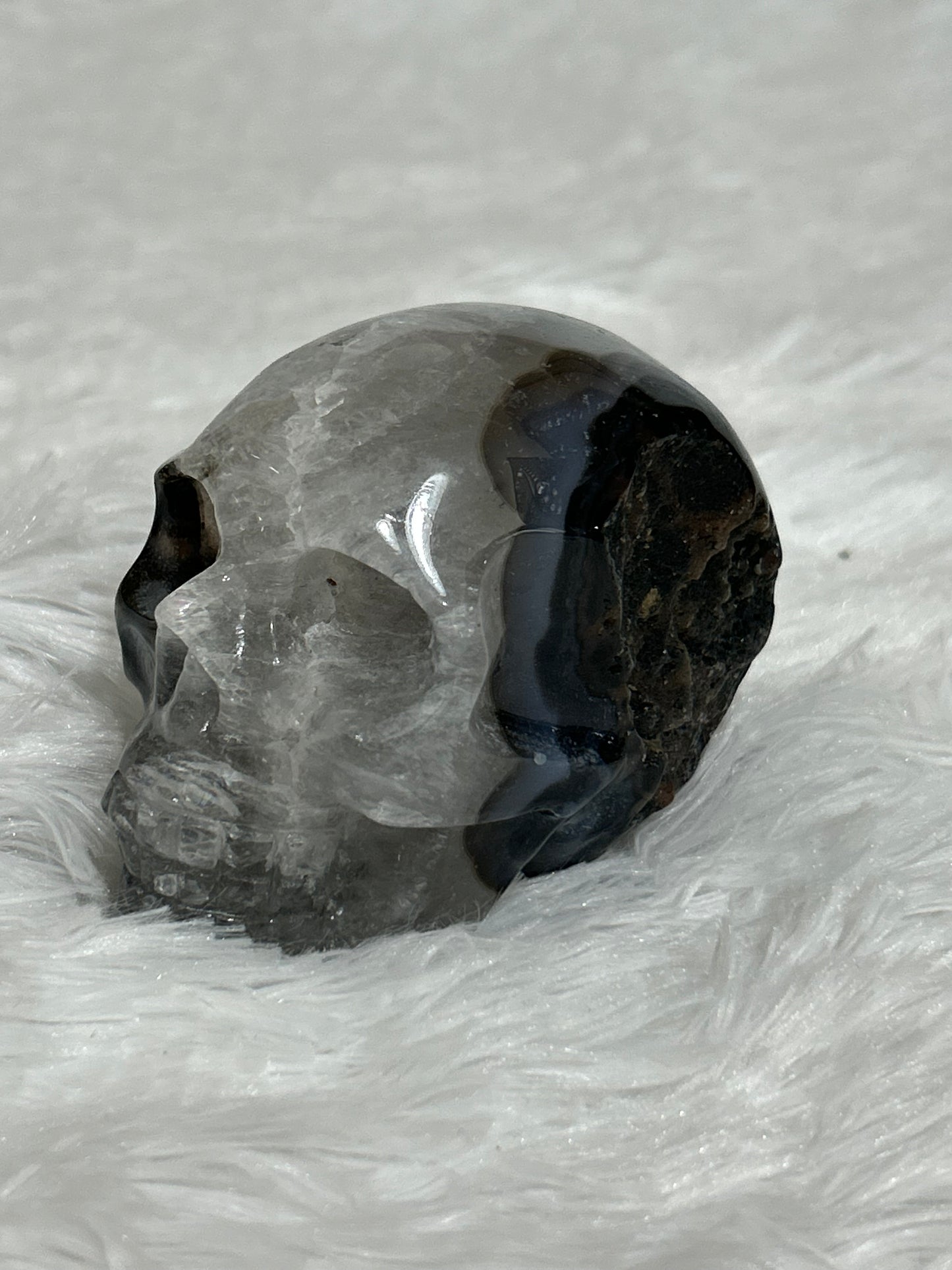 Skull(s) - Black Agate