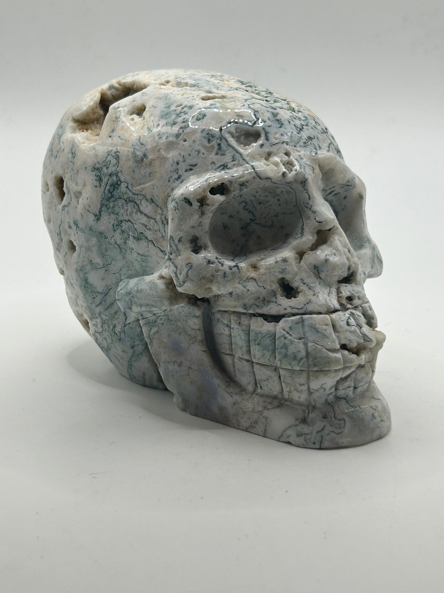 Skull(s) - Moss and Tree Agate