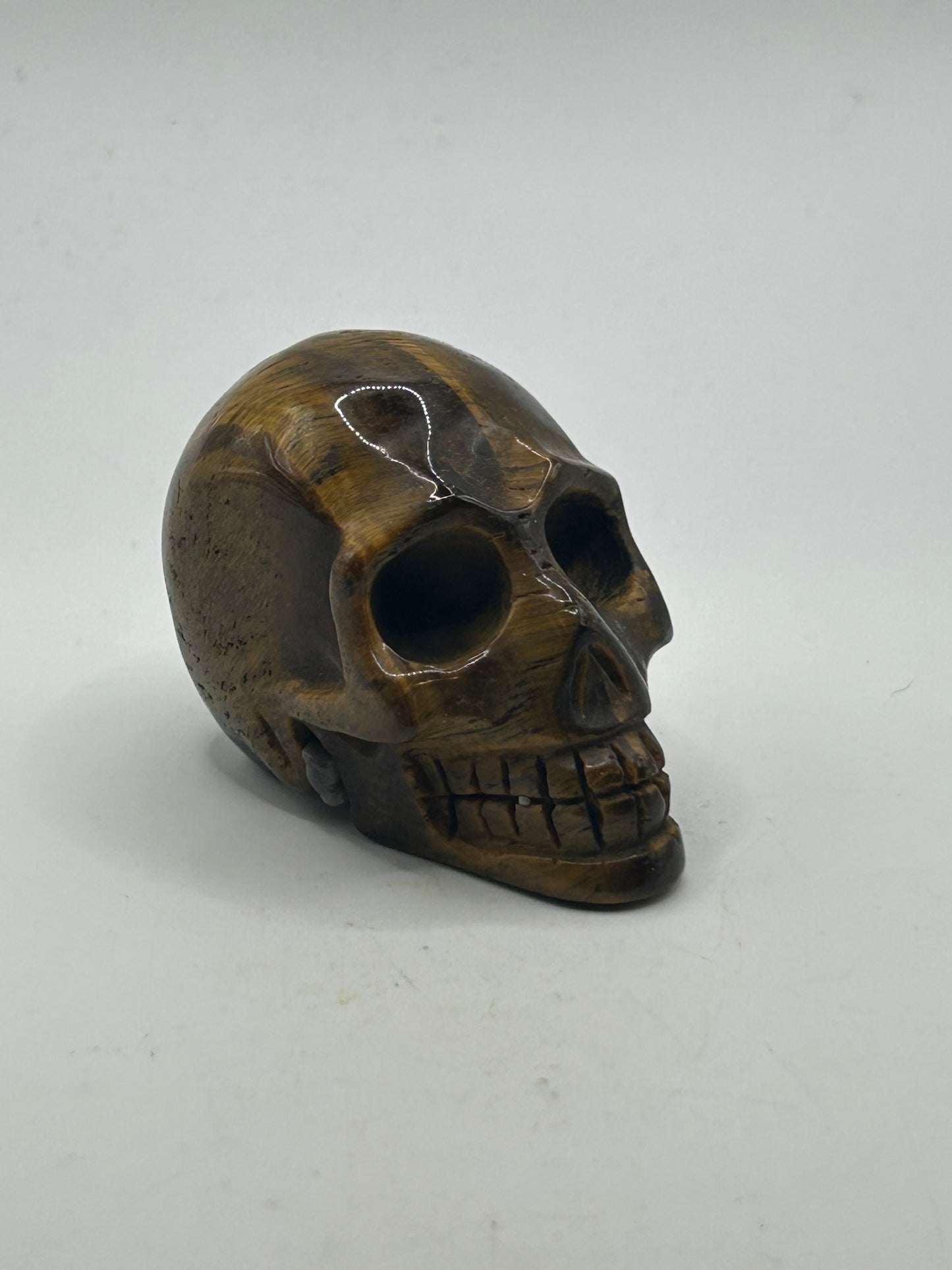 Skull(s) - Tigers Eye