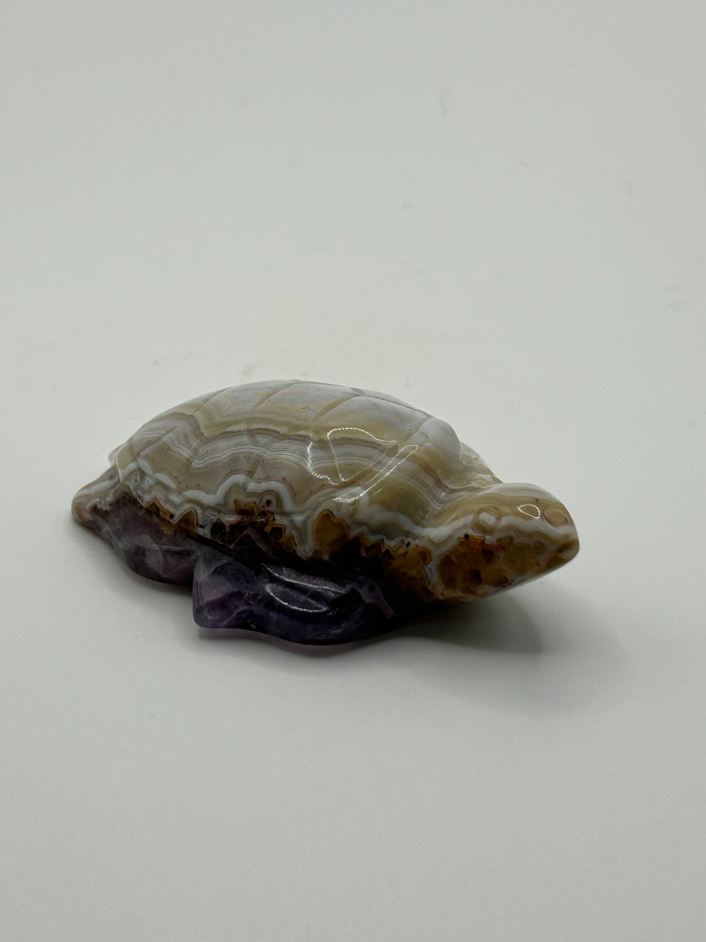 Turtle(s) - Amethyst and Mexican Crazy Lace Agate