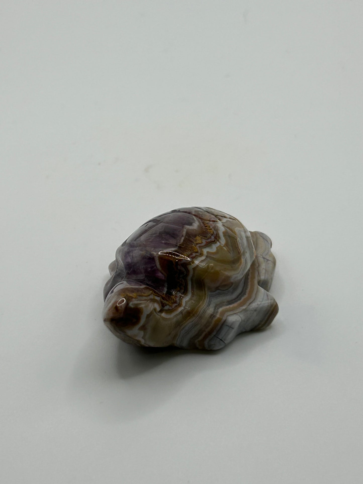 Turtle(s) - Amethyst and Mexican Crazy Lace Agate