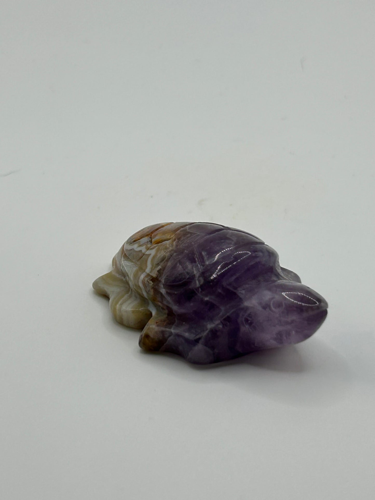 Turtle(s) - Amethyst and Mexican Crazy Lace Agate