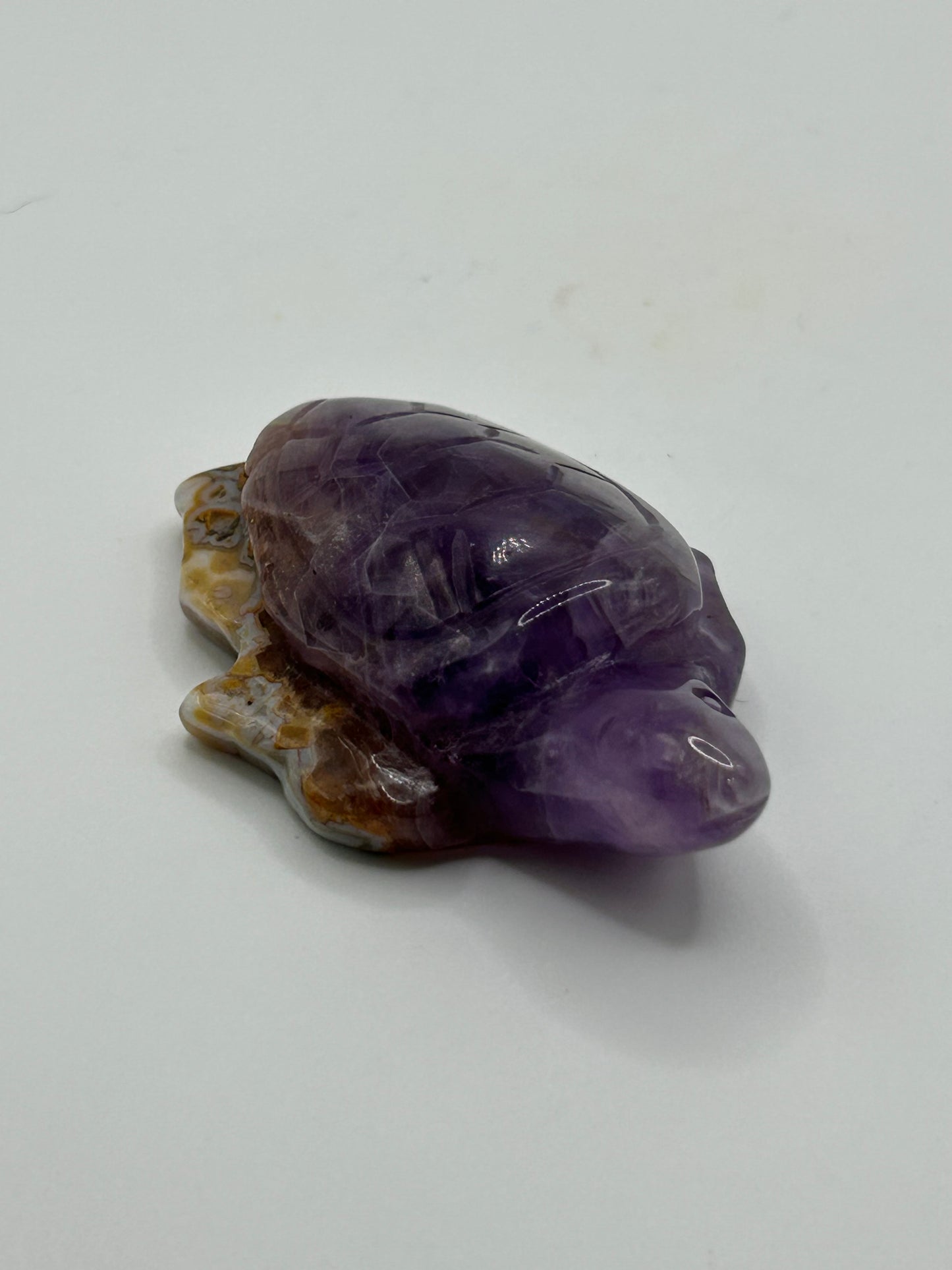 Turtle(s) - Amethyst and Mexican Crazy Lace Agate