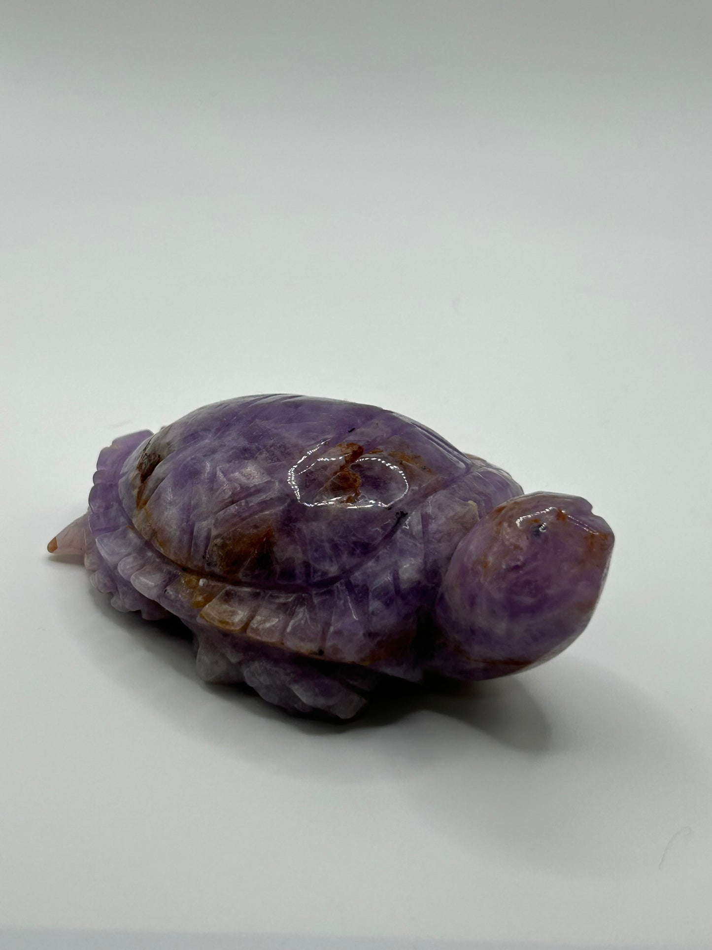 Turtle(s) - Amethyst and Mexican Crazy Lace Agate