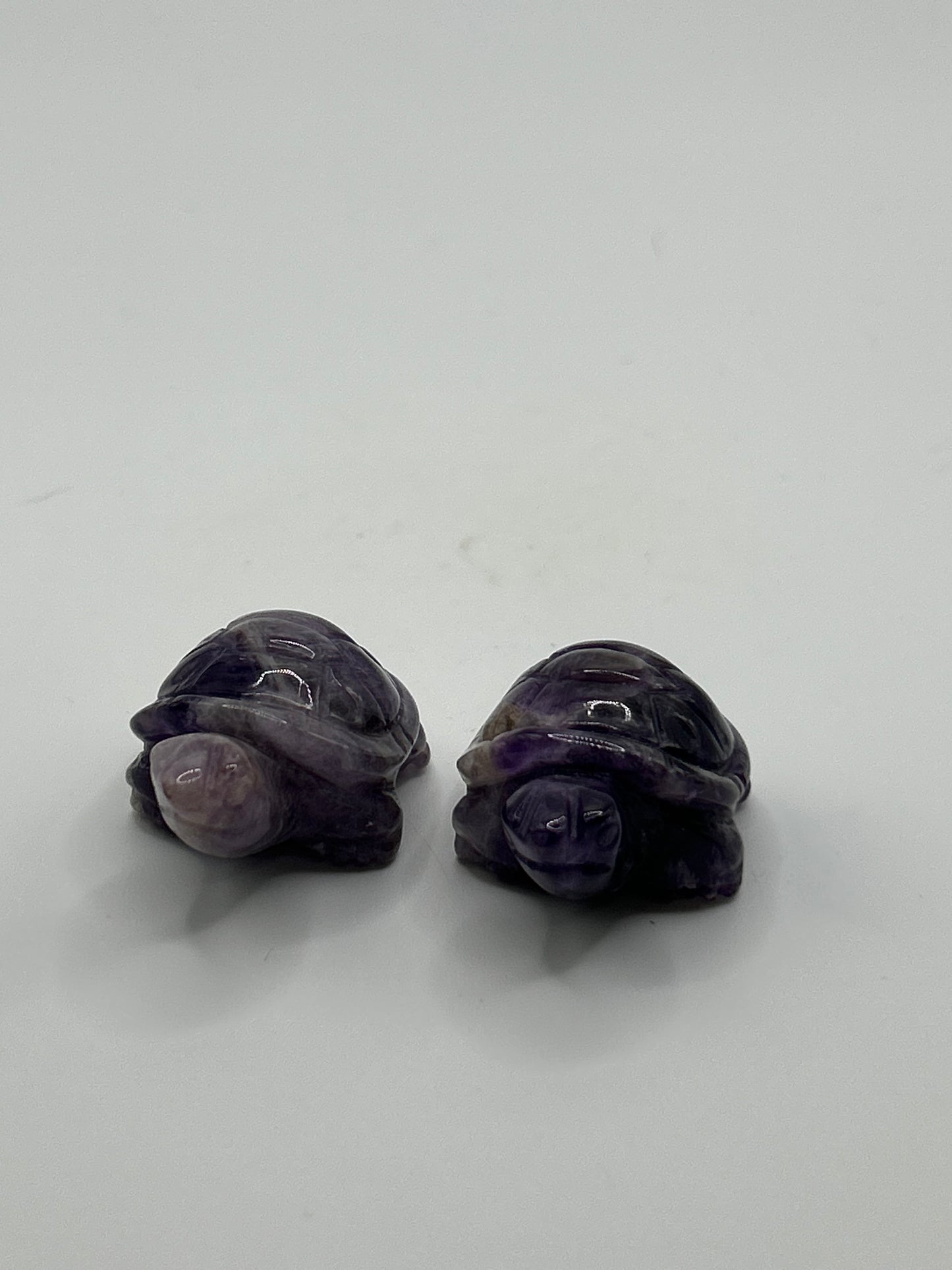 Turtle(s) - Amethyst and Mexican Crazy Lace Agate