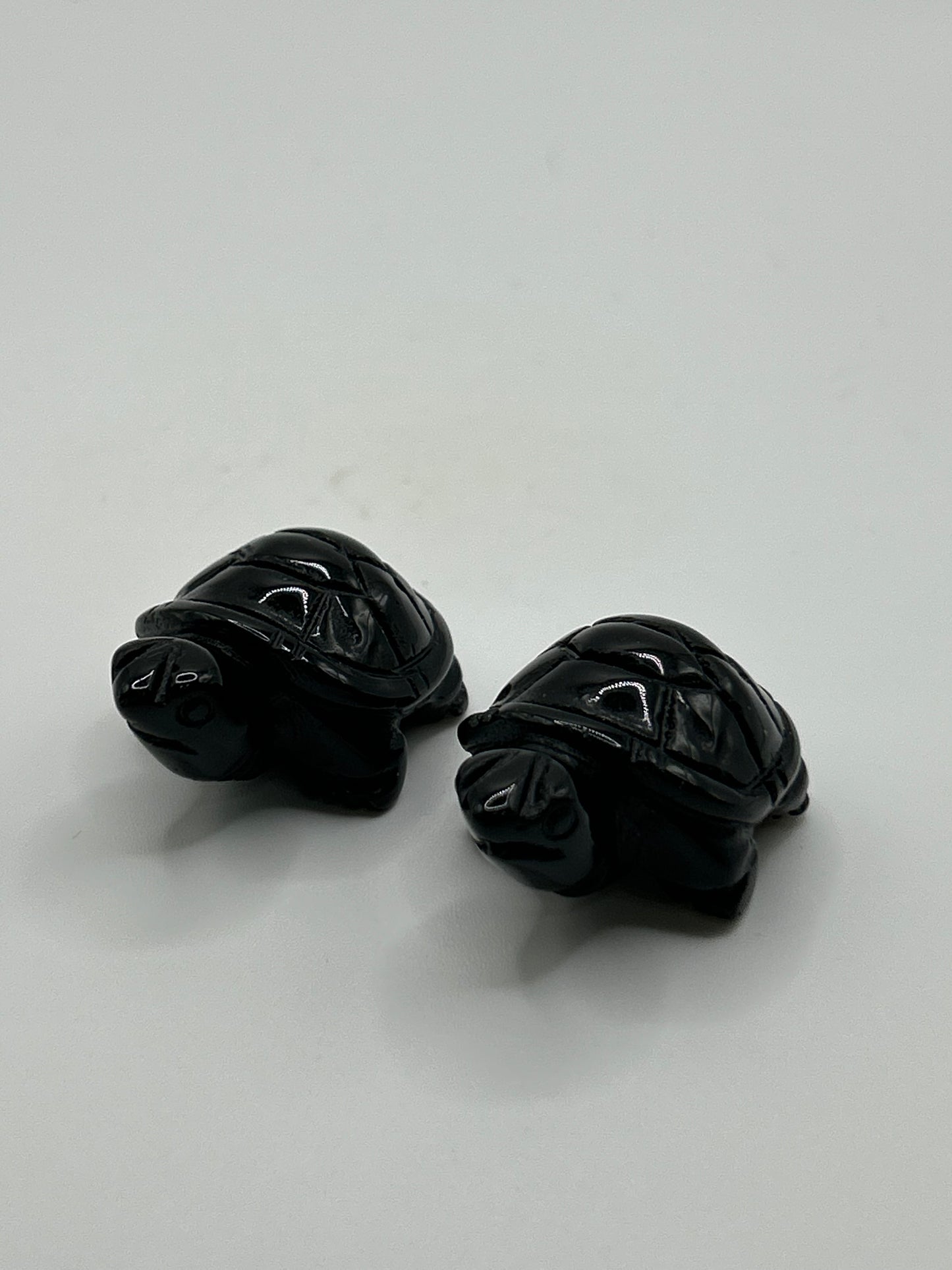 Turtle(s) - Mixed Material Small