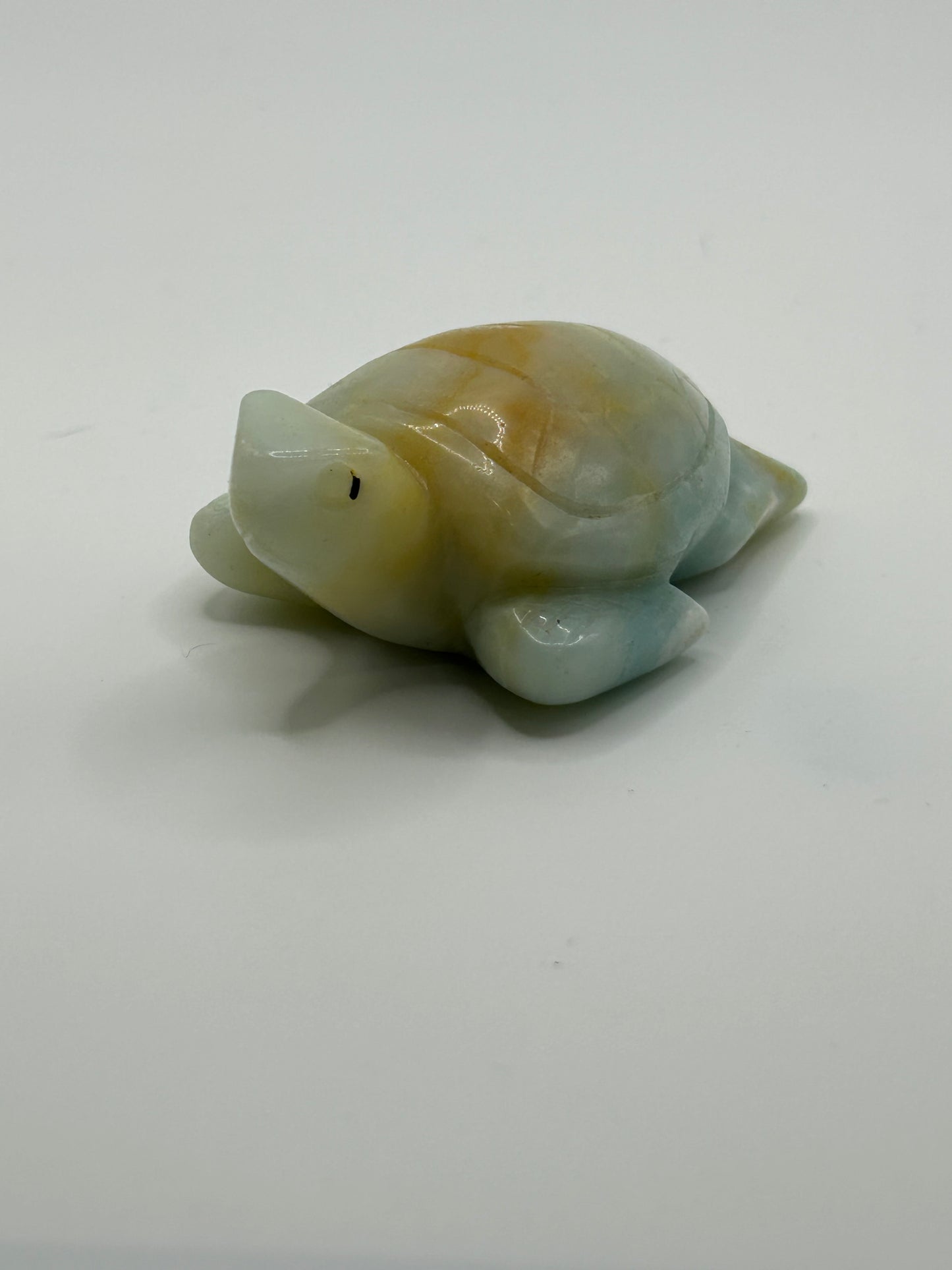 Turtle(s) - Caribbean Calcite