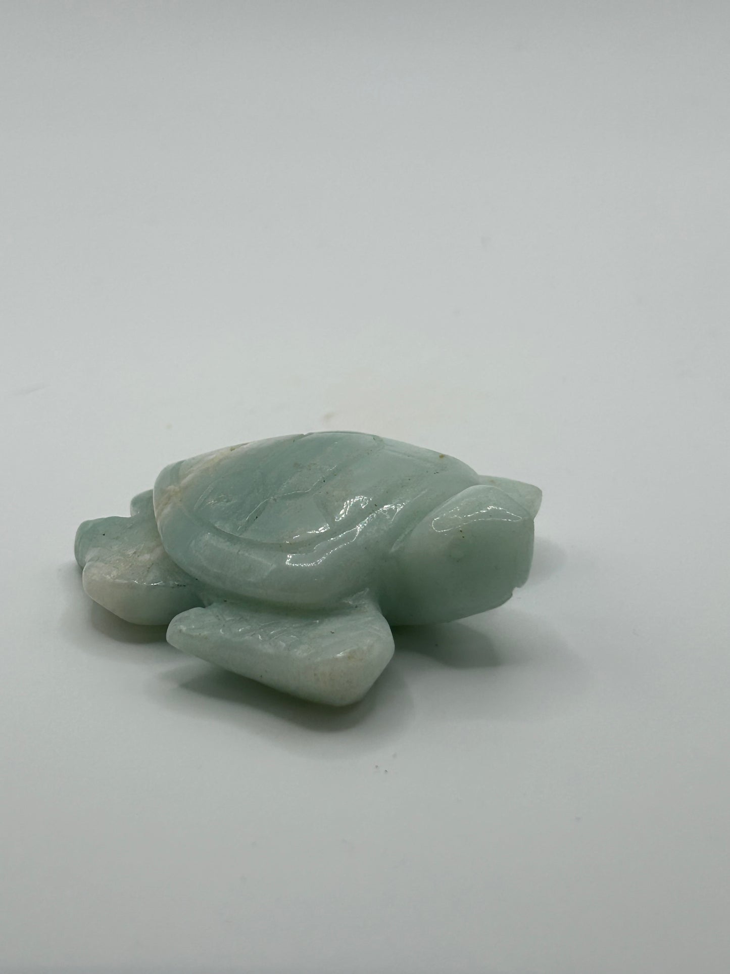 Turtle(s) - Caribbean Calcite