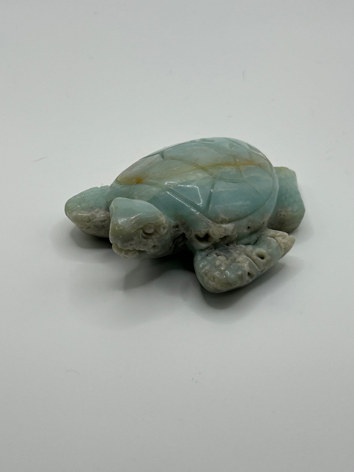 Turtle(s) - Caribbean Calcite