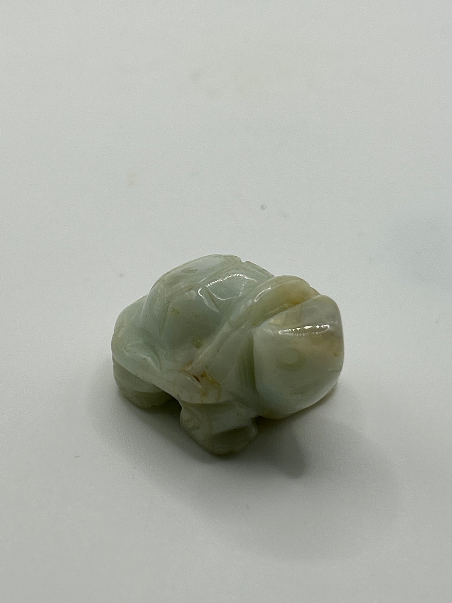 Turtle(s) - Caribbean Calcite