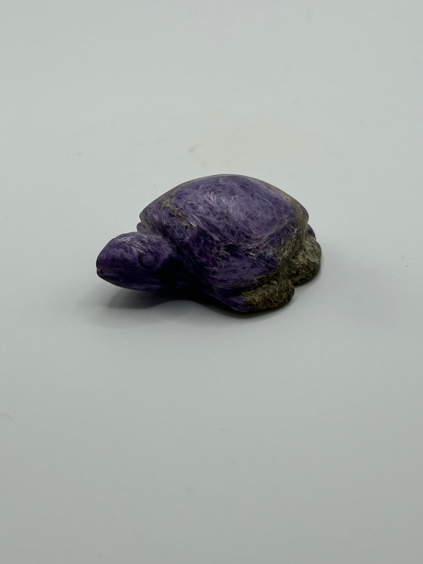 Turtle(s) - Charoite