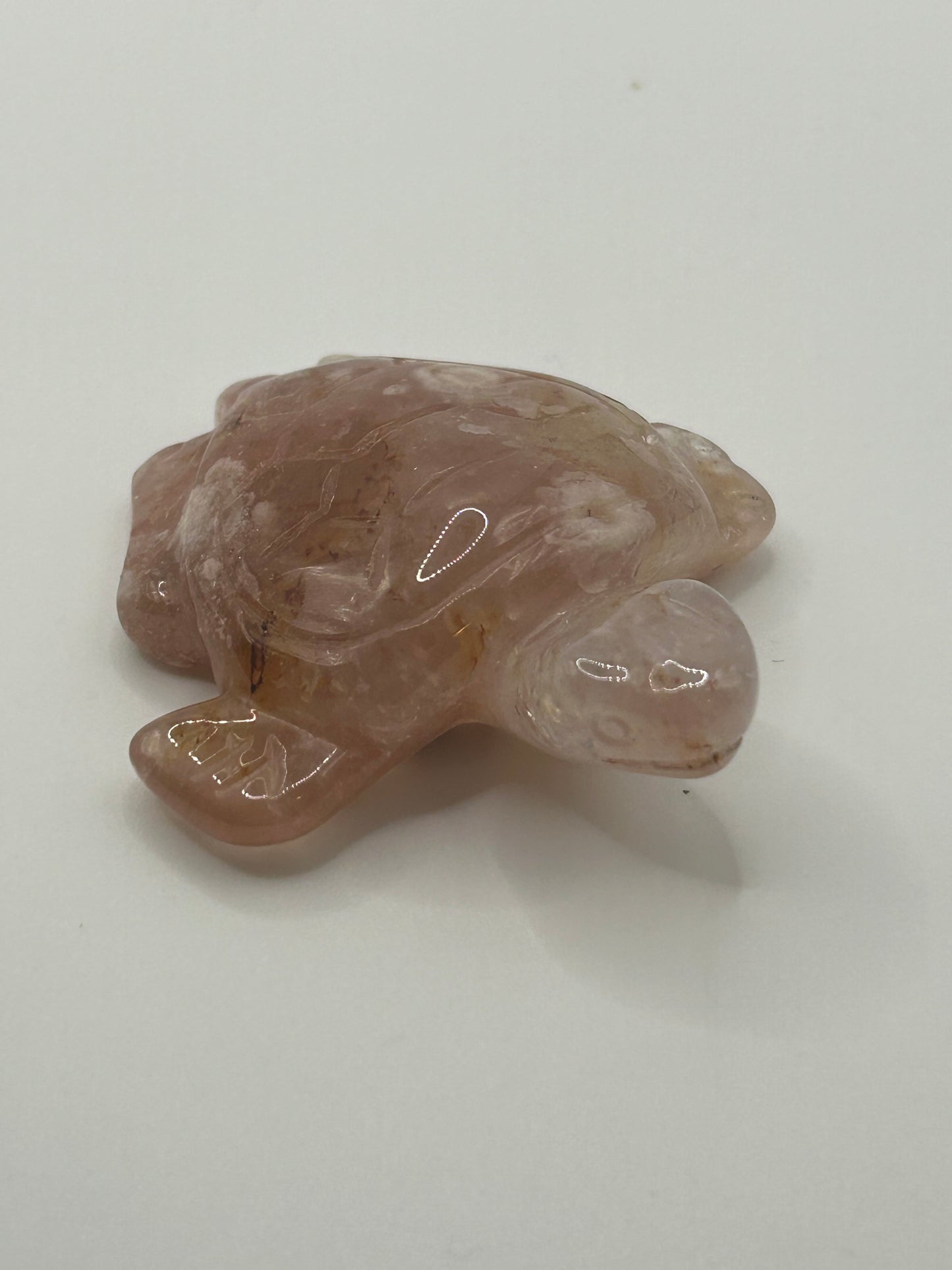 Turtle(s) - Flower Agate