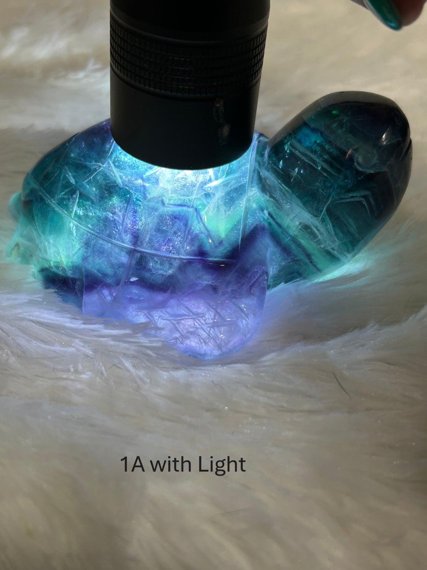 Turtle(s) - Fluorite