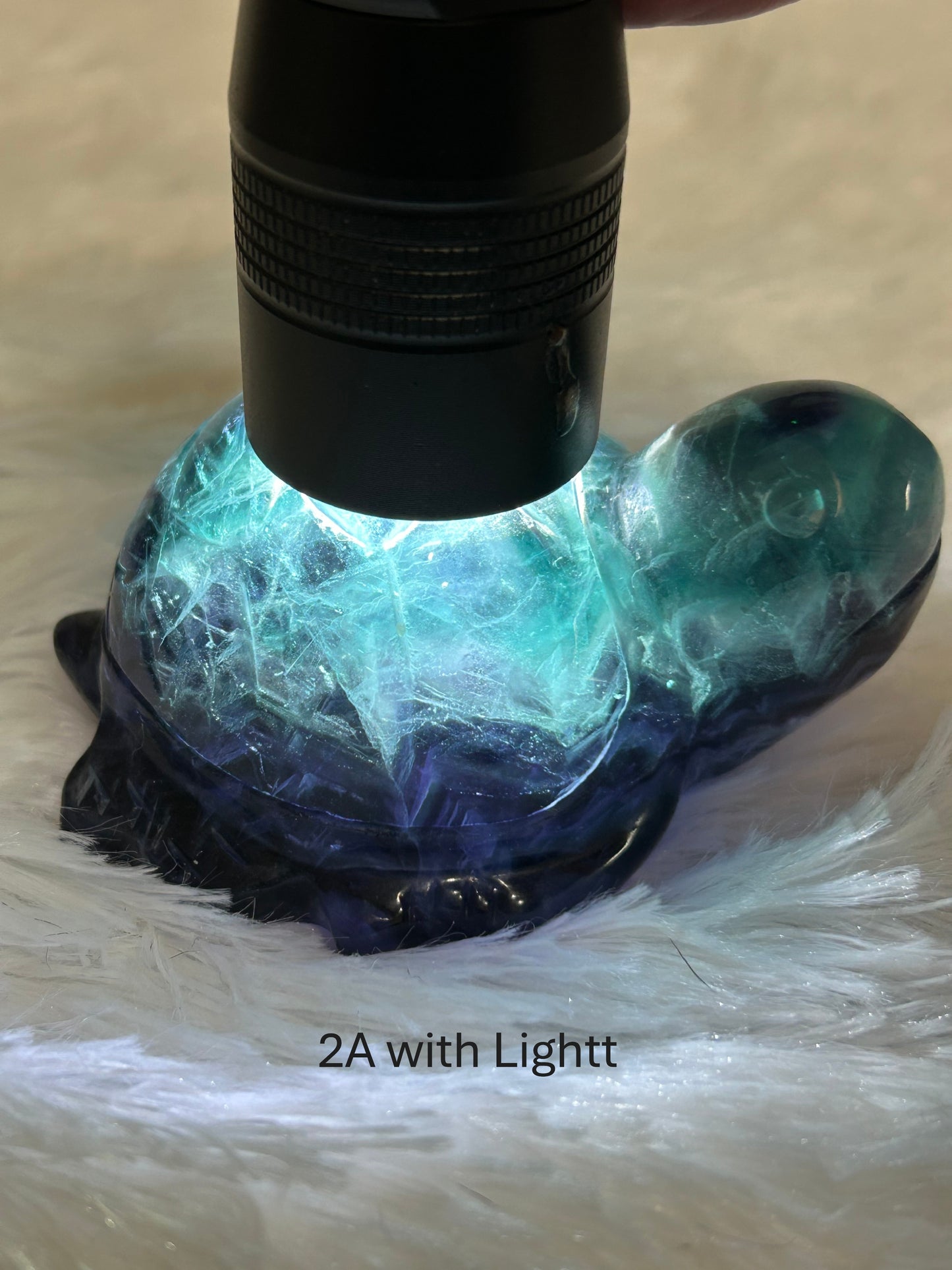 Turtle(s) - Fluorite