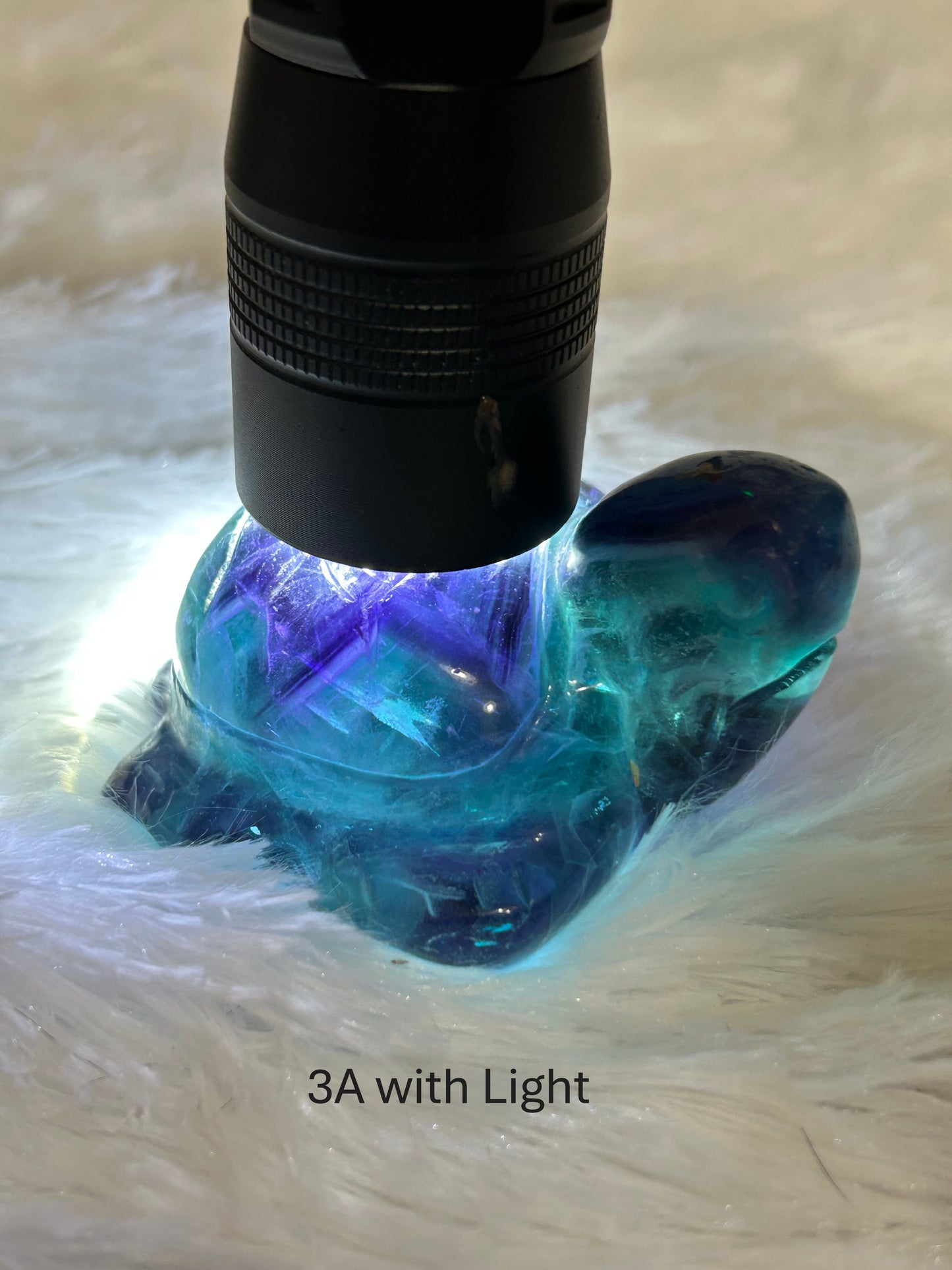 Turtle(s) - Fluorite