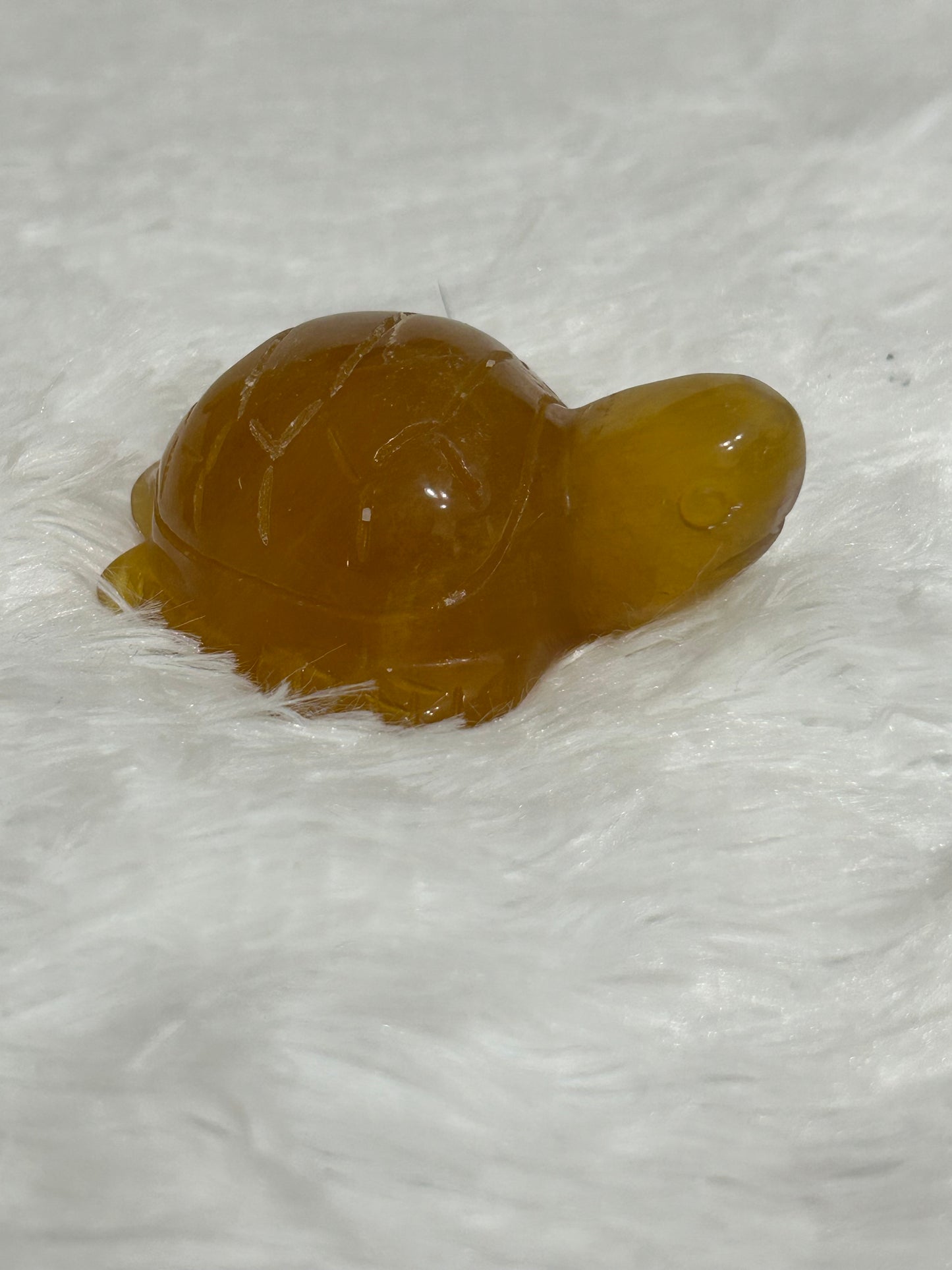Turtle(s) - Fluorite