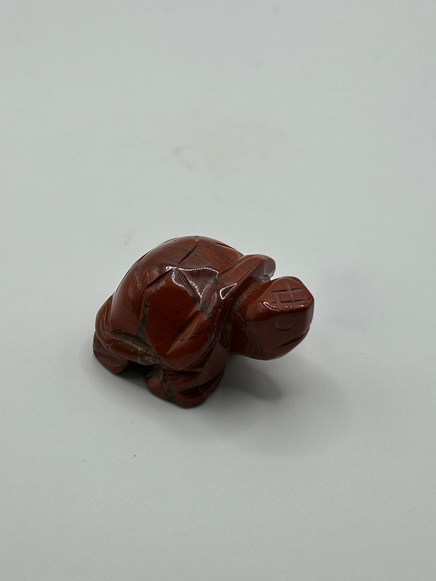 Turtle(s) - Mixed Material Small