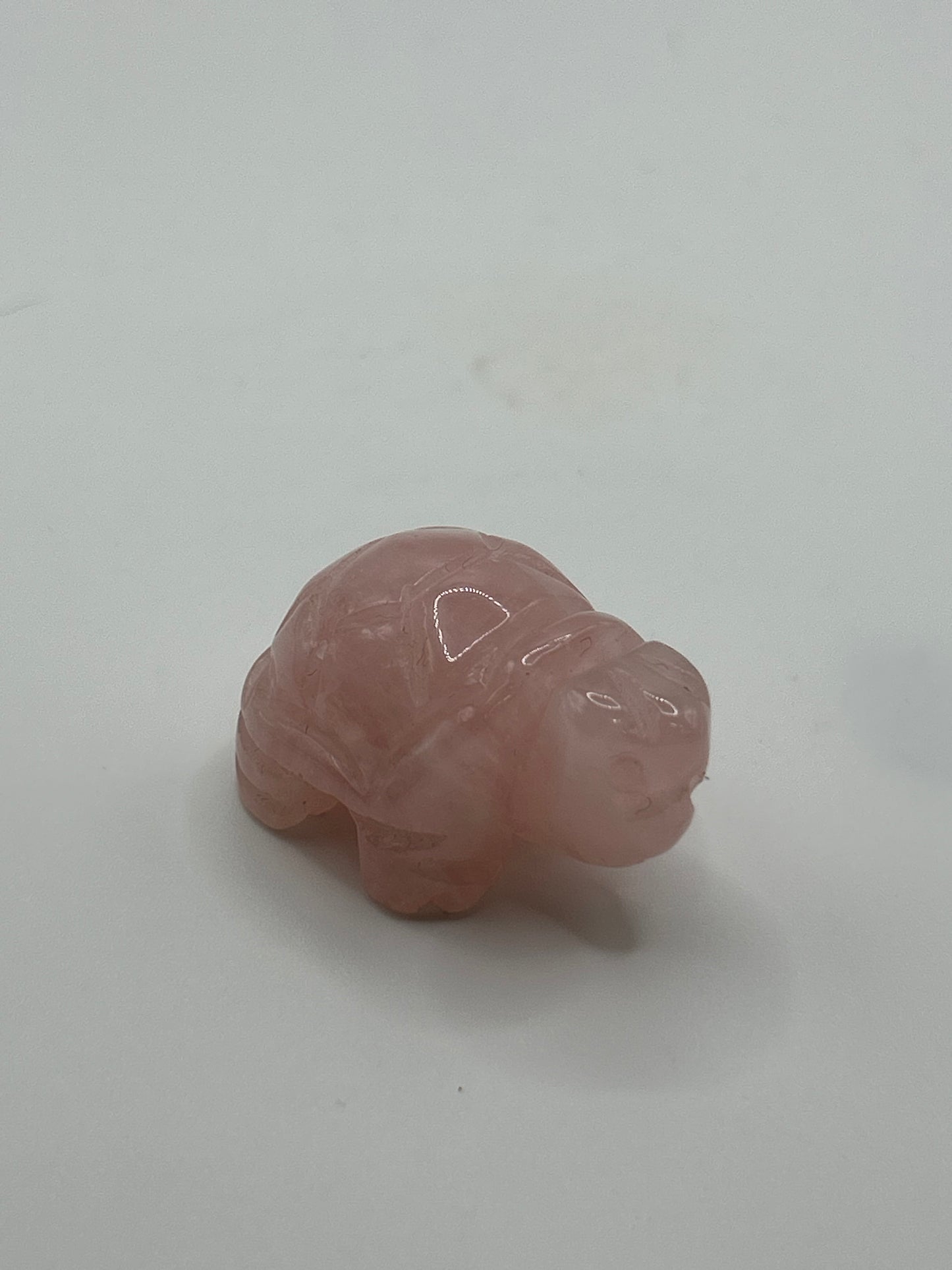 Turtle(s) - Mixed Material Small
