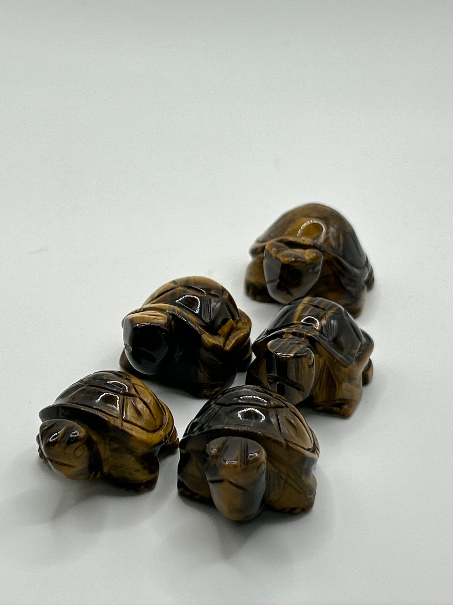 Turtle(s) - Mixed Material Small