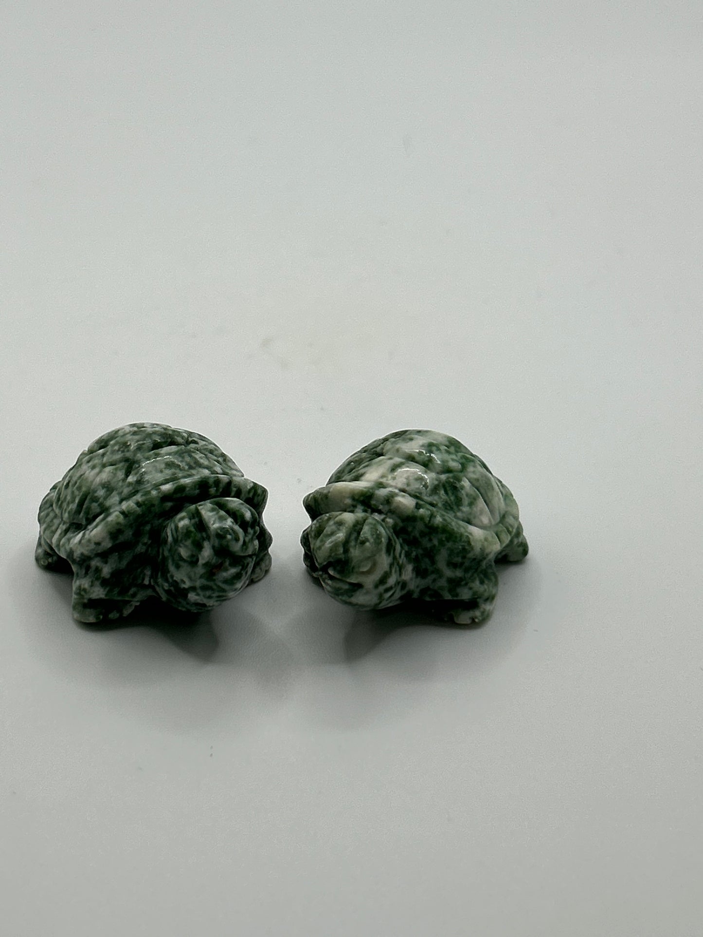 Turtle(s) - Mixed Material Small