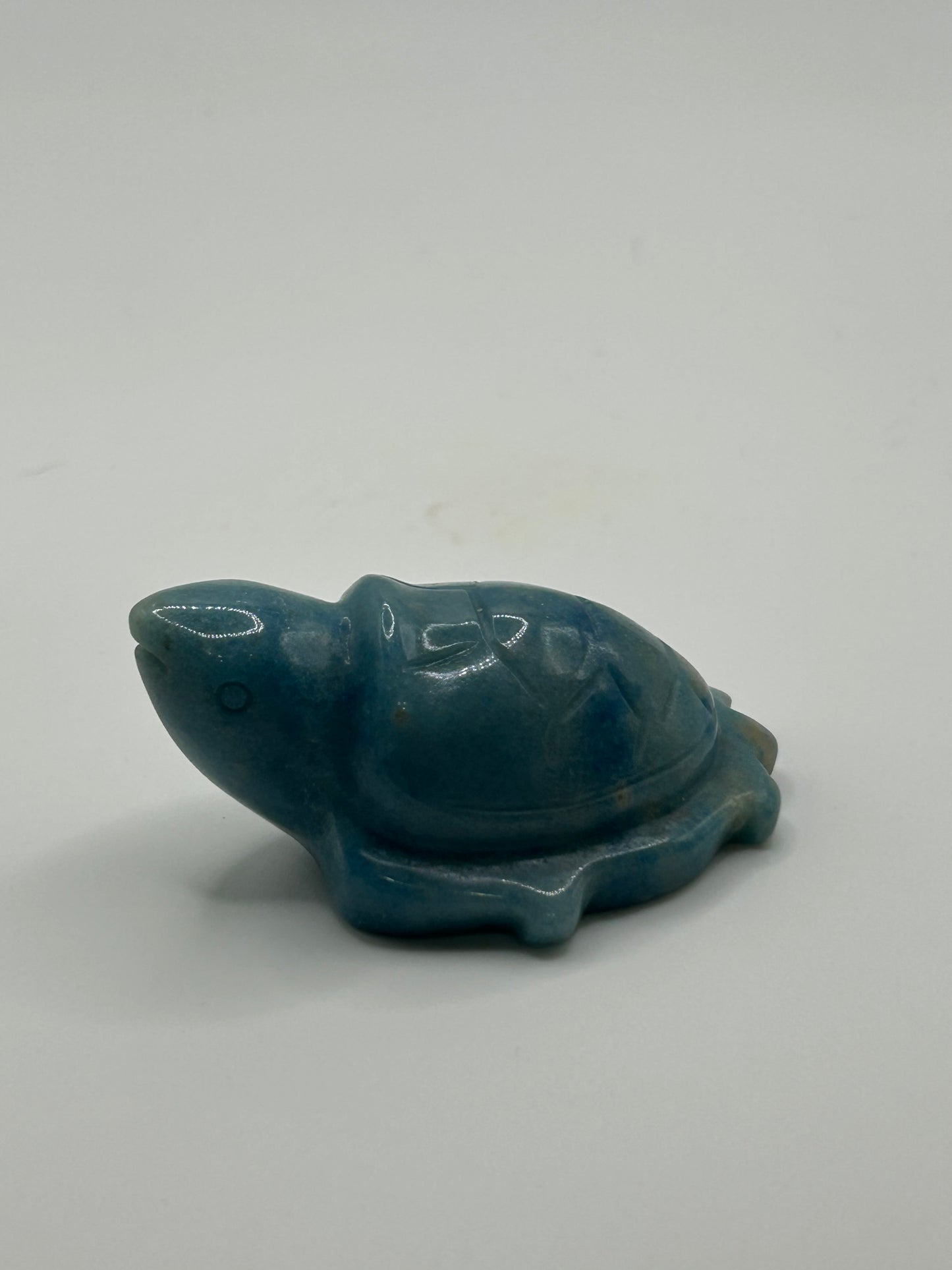 Turtle(s) - Trolleite