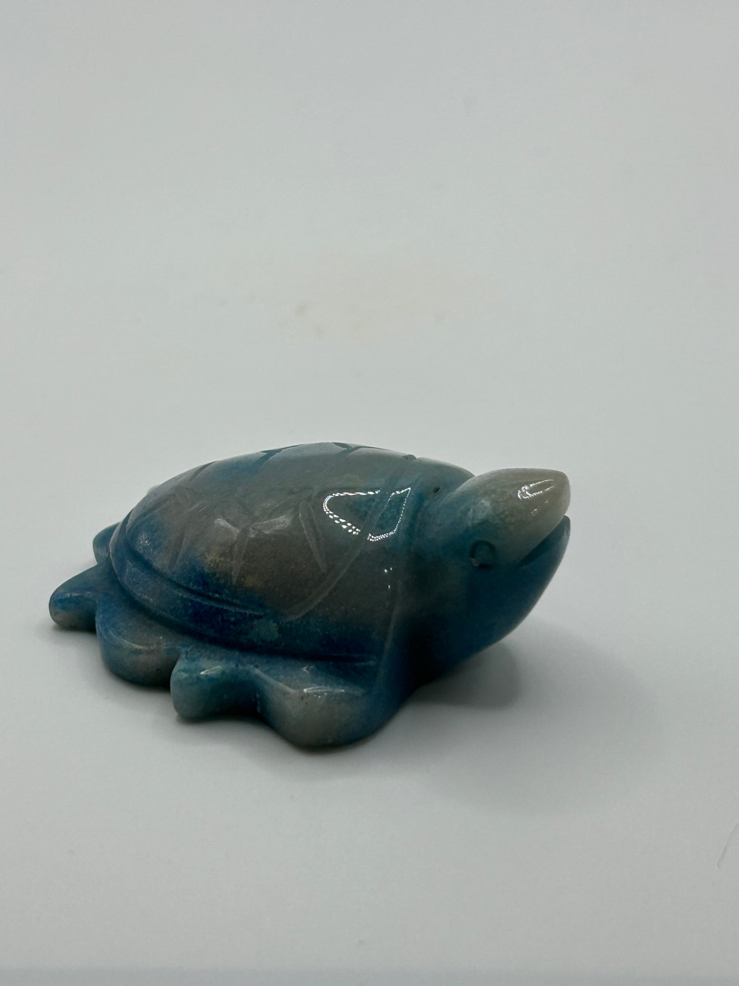 Turtle(s) - Trolleite